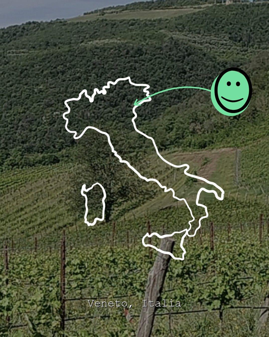Vineyard landscape in Veneto, photo from Siemàn