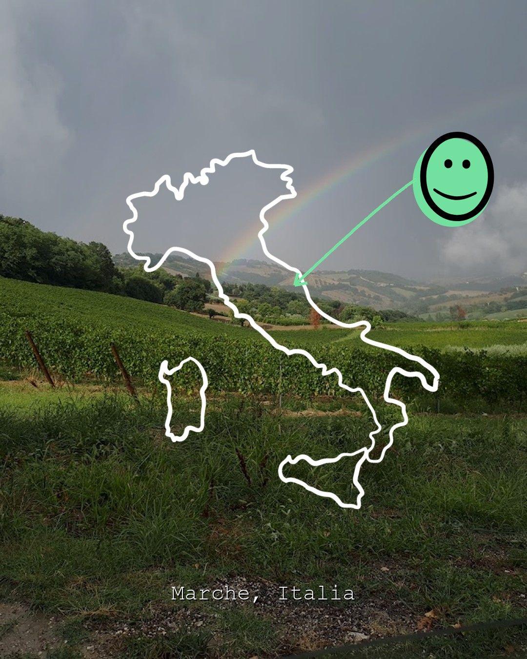 Weinberglandschaft in Marche, Foto von Empowering Bottles Around Globe (EBAG)