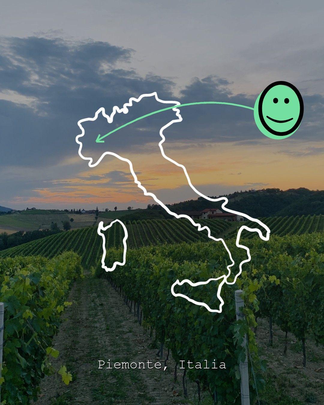 Vingårdslandskap i Piemonte, foto från Rogiotto
