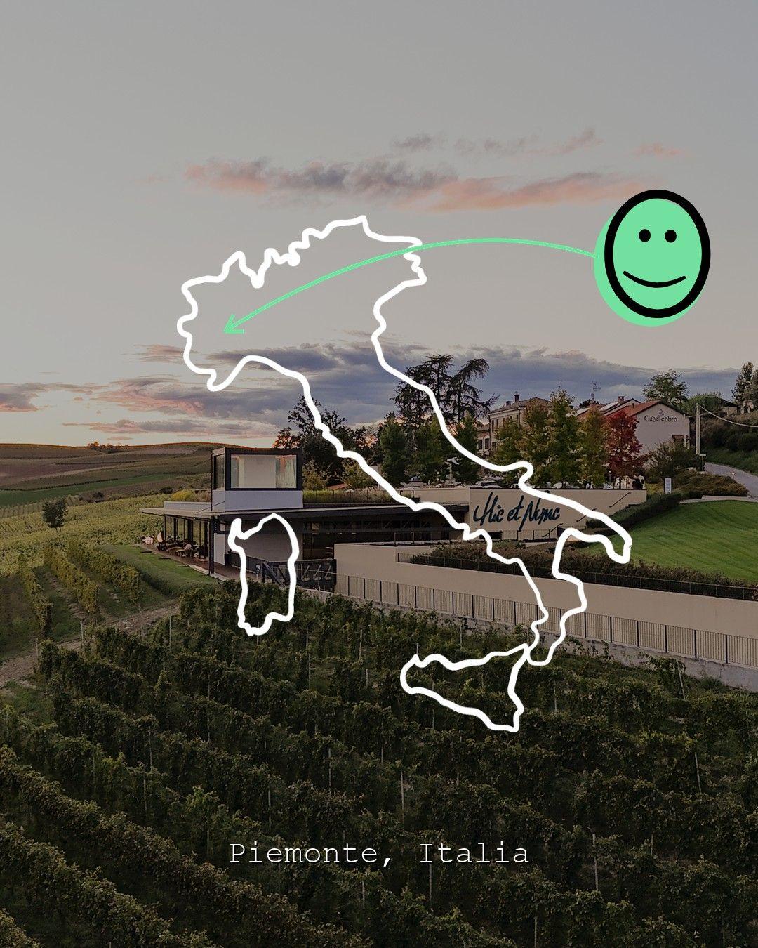 Vingårdslandskap i Piemonte, foto från Hic et Nunc