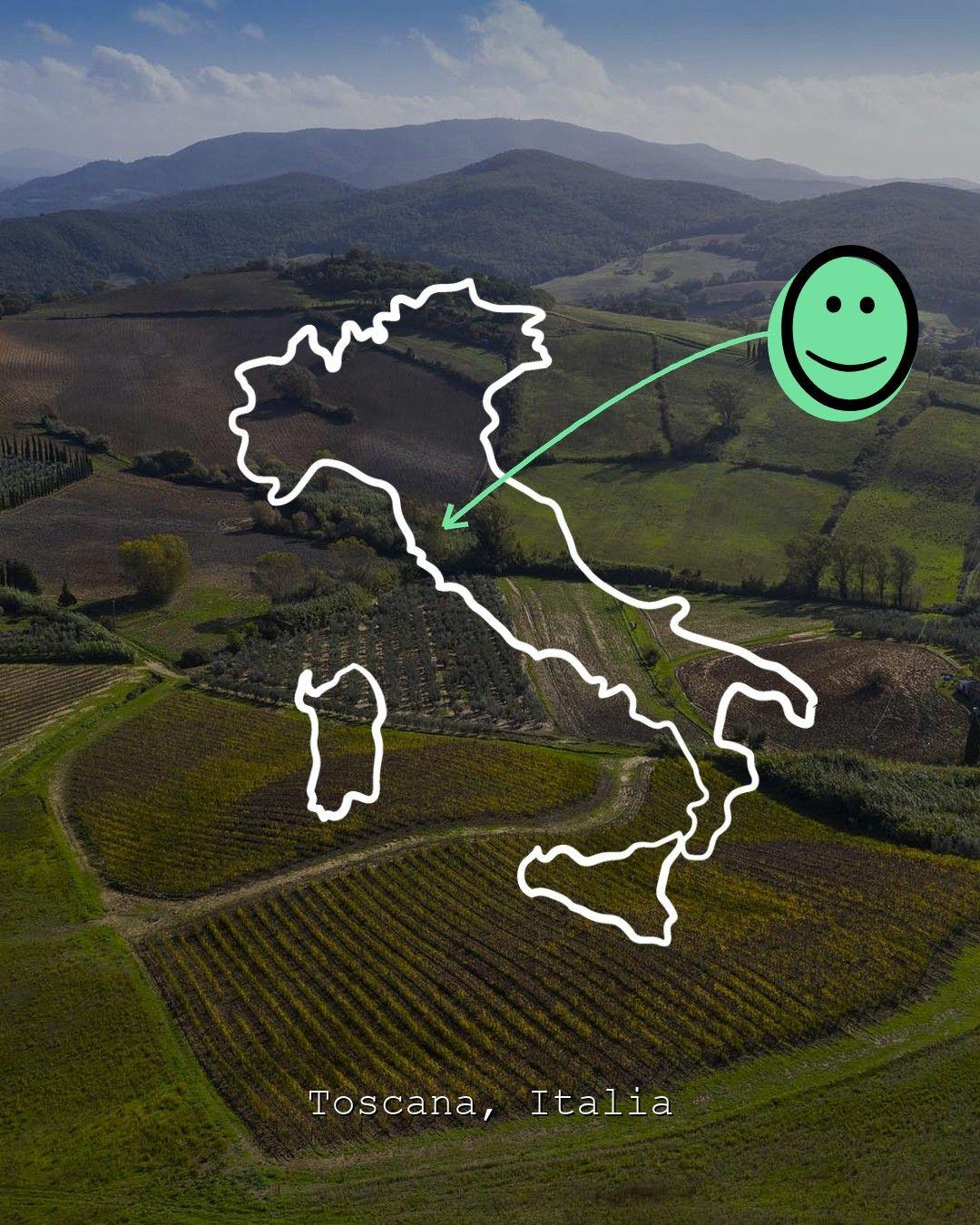 Vingårdslandskap i Toscana, foto från Tenuta Carpoli