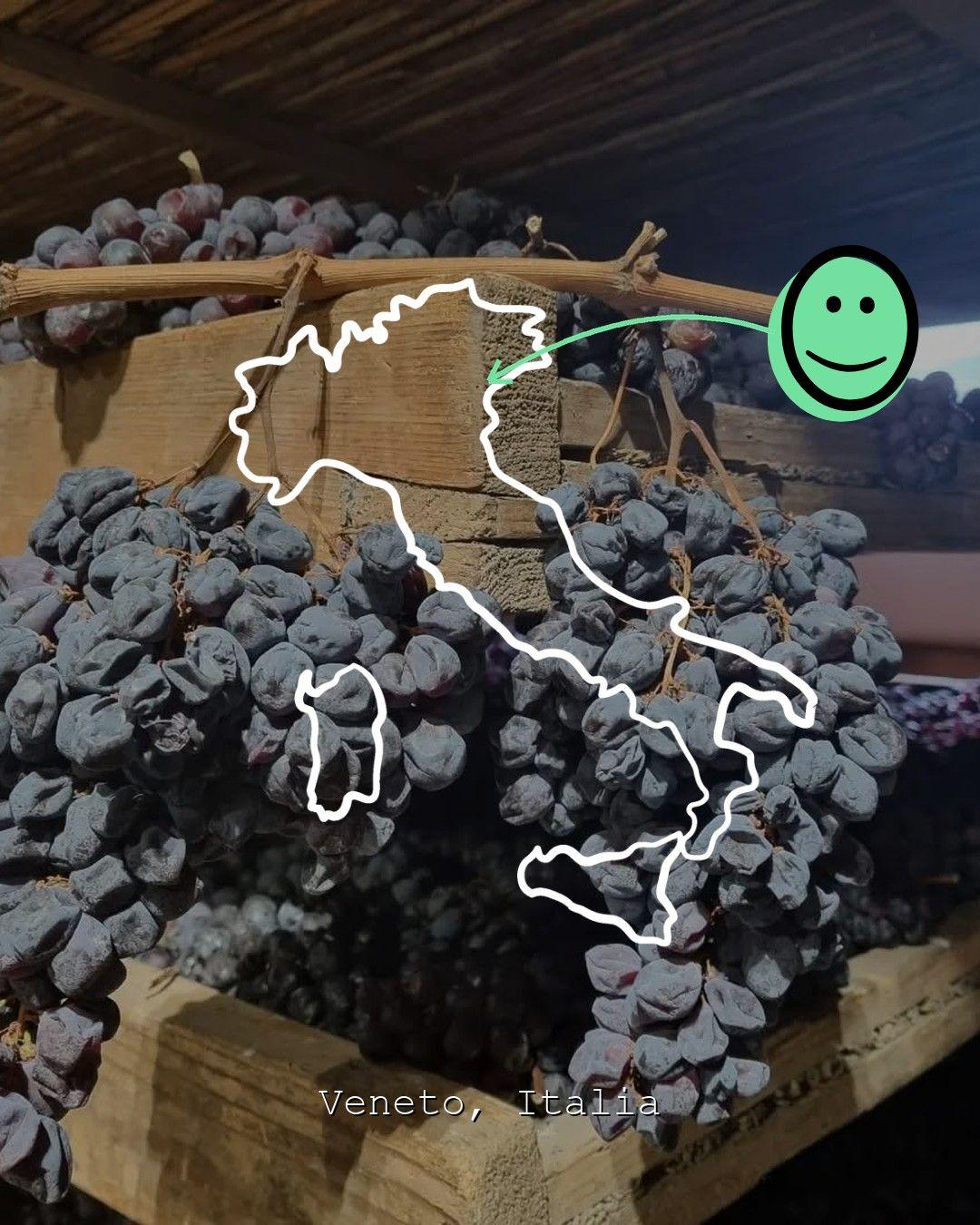 Weinberglandschaft in Veneto, Foto von Contràmalini