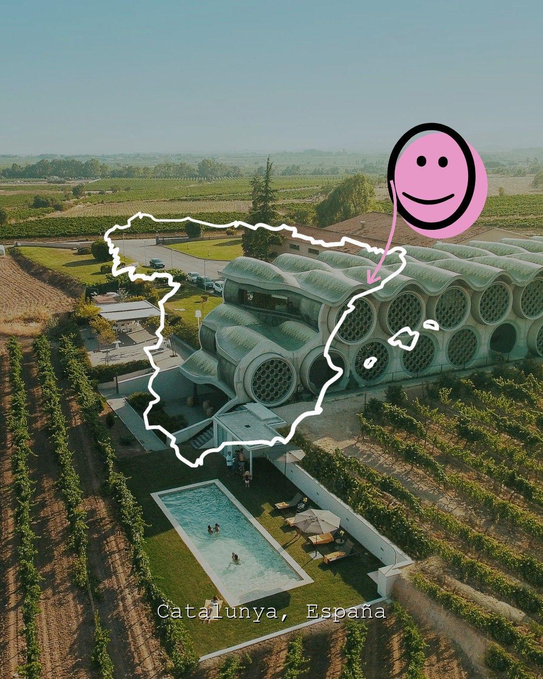 Vineyard landscape in Catalunya, photo from Mastinell