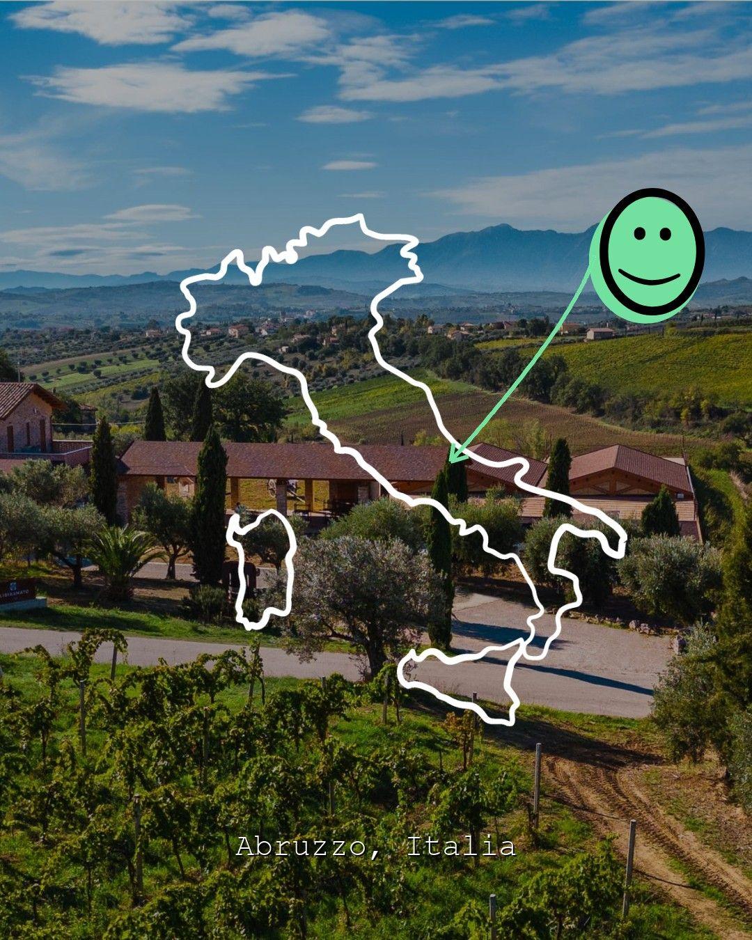 Weinberglandschaft in Abruzzo, Foto von Lidia & Amato