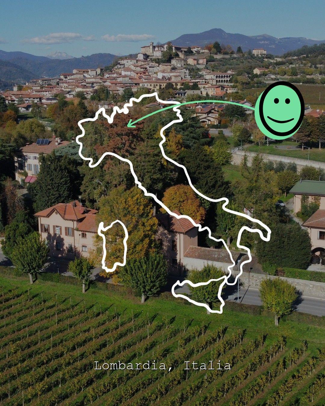 Vingårdslandskap i Lombardia, foto från Ricci Curbastro Azienda Agricola