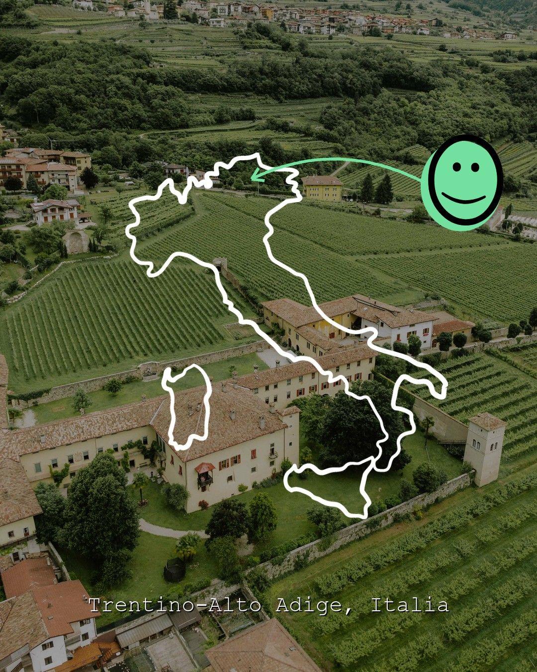 Vineyard landscape in Trentino-Alto Adige, photo from Palazzo Lodron