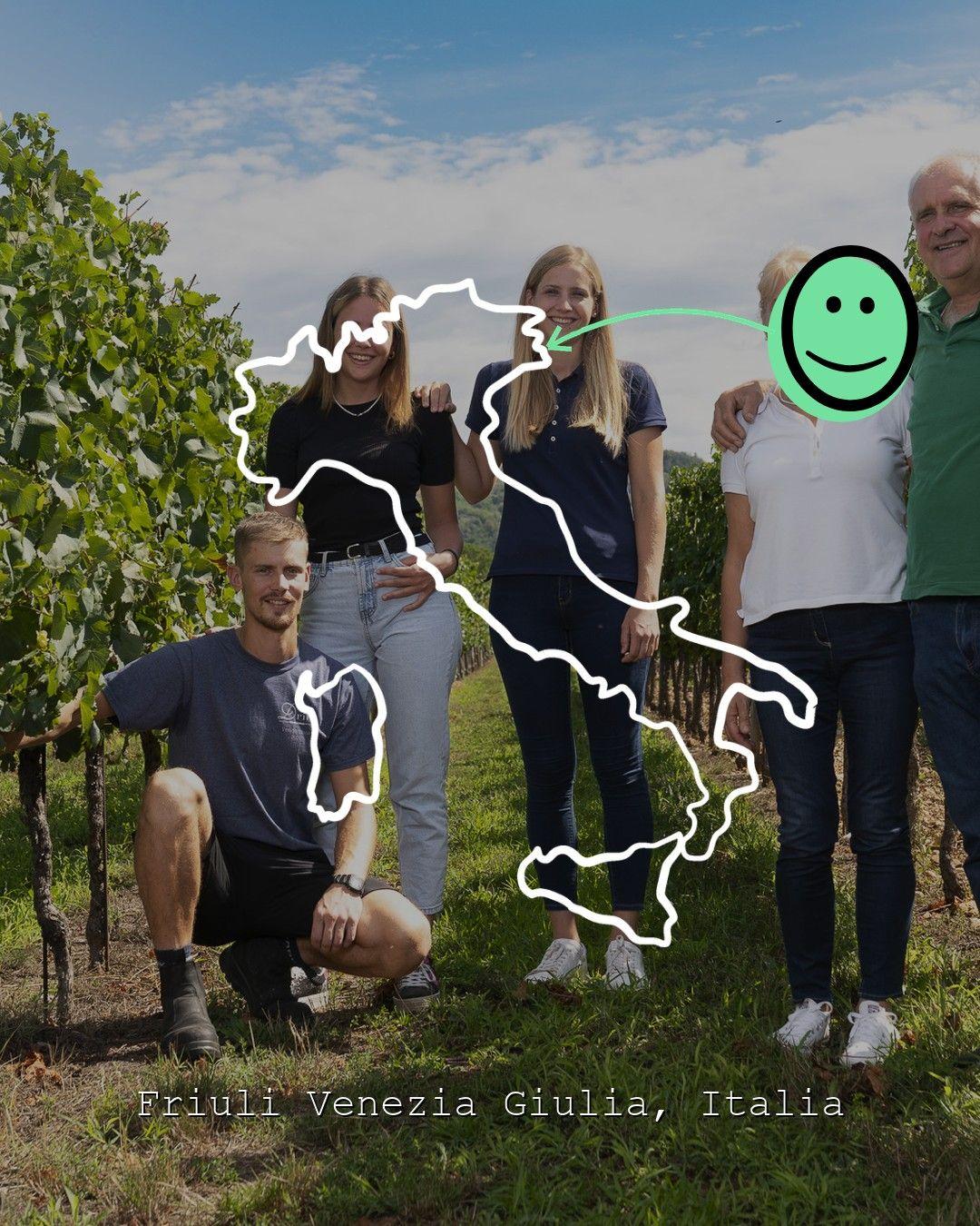 Vingårdslandskap i Friuli Venezia Giulia, foto från Drius