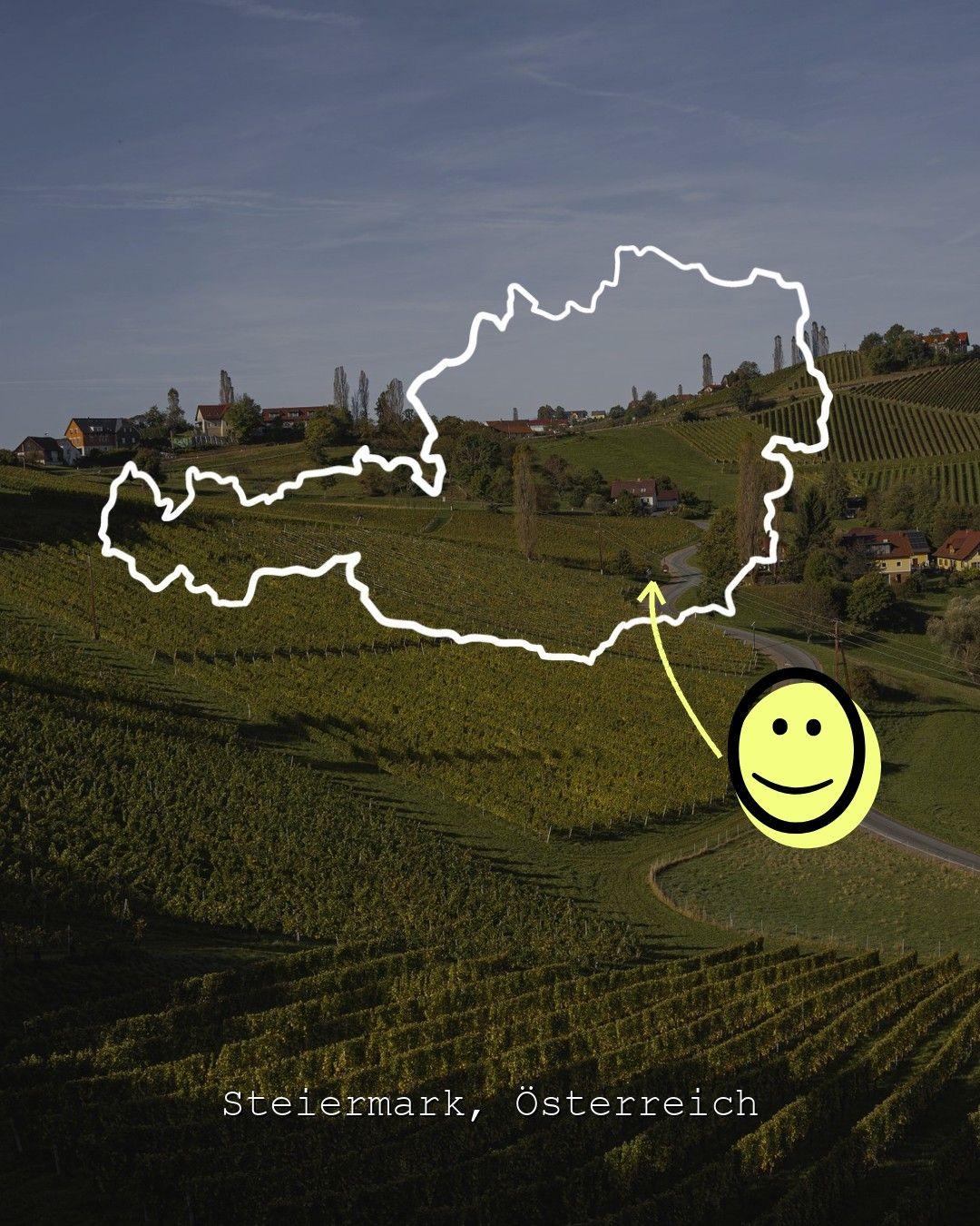 Vingårdslandskap i Steiermark, foto från Ewald Zweytick Wein