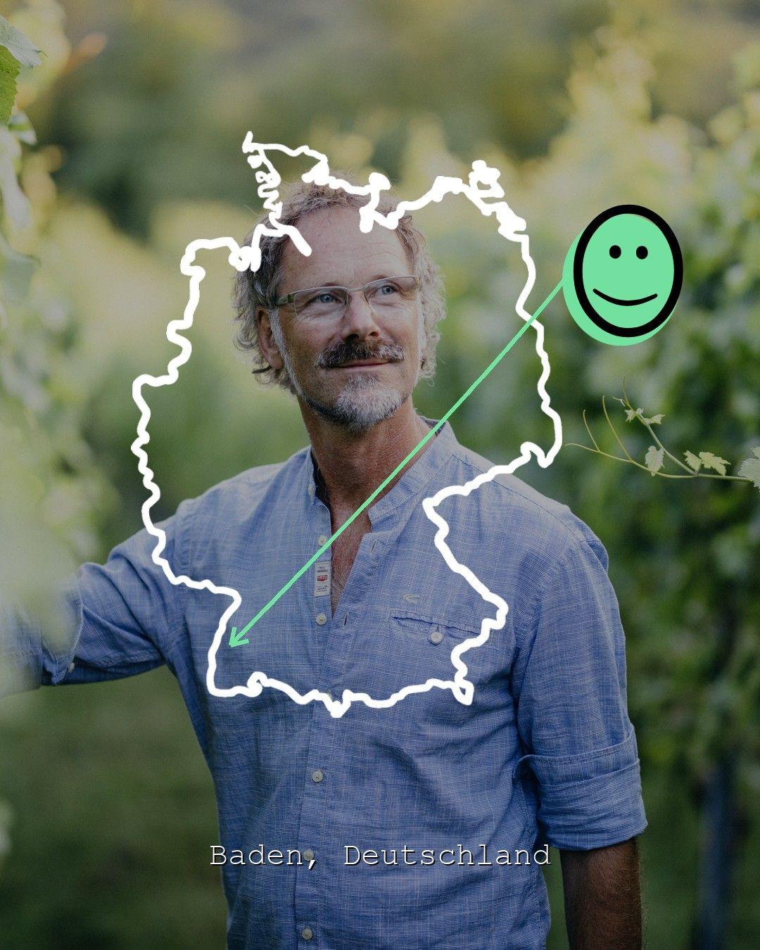 Vingårdslandskap i Baden, foto från Weingut Thomas Harteneck
