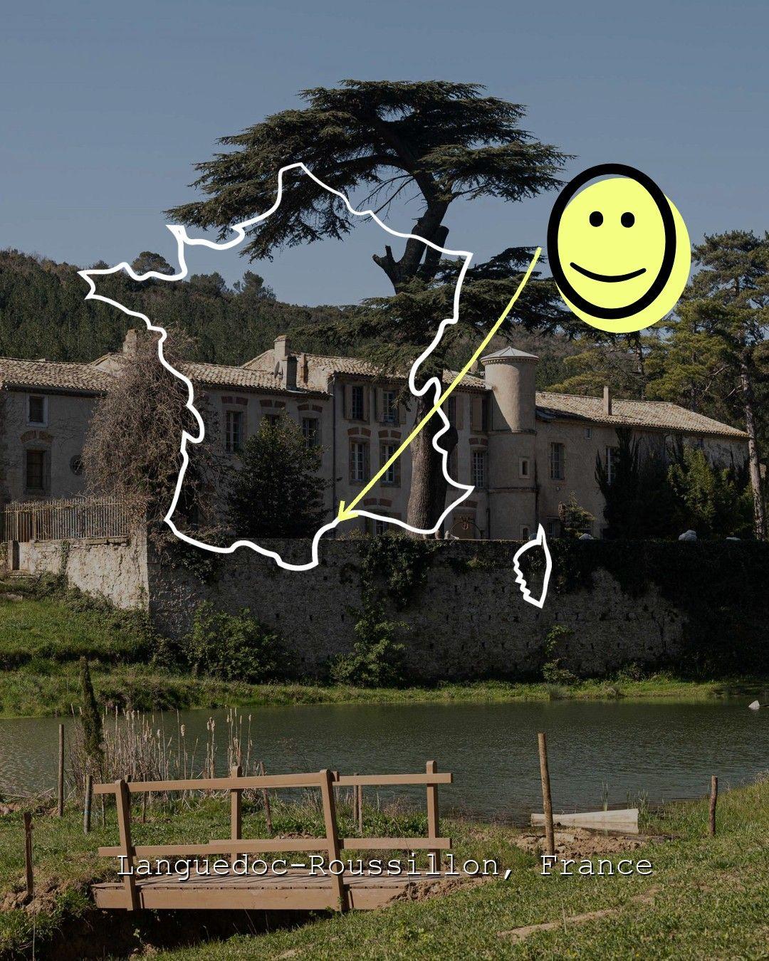 Vingårdslandskap i Languedoc-Roussillon, foto från Château De Gaure