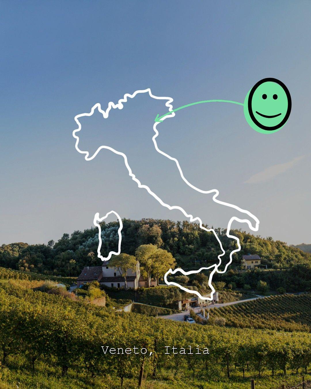Vingårdslandskap i Veneto, foto från Vignaioli Contrà Soarda