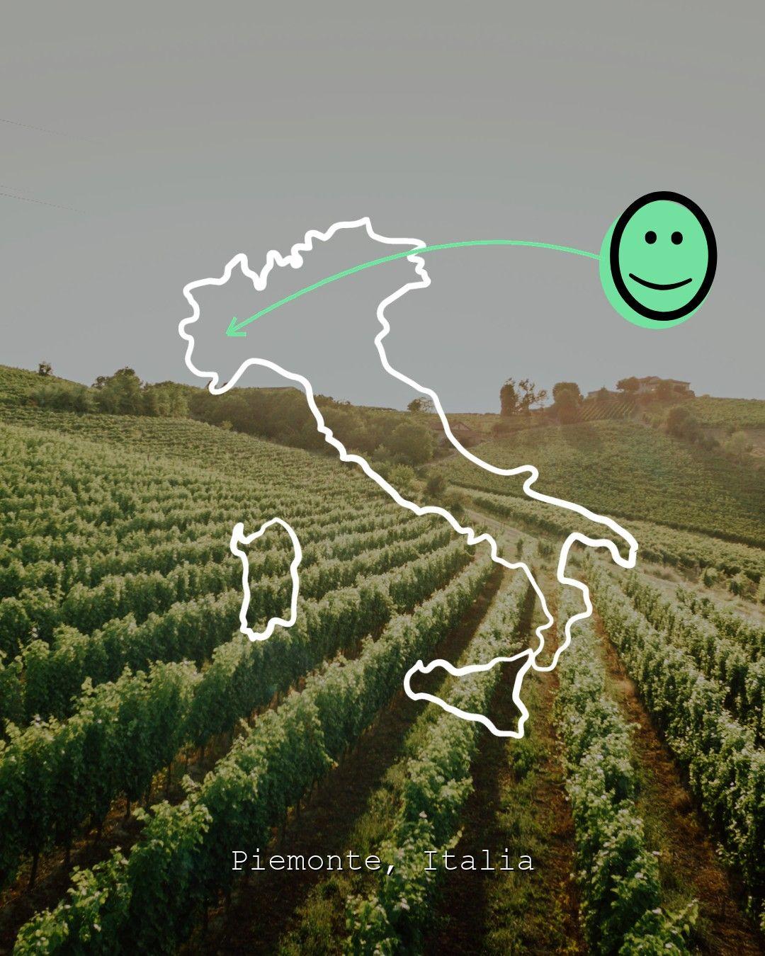 Vingårdslandskap i Piemonte, foto från Giulio Arnera