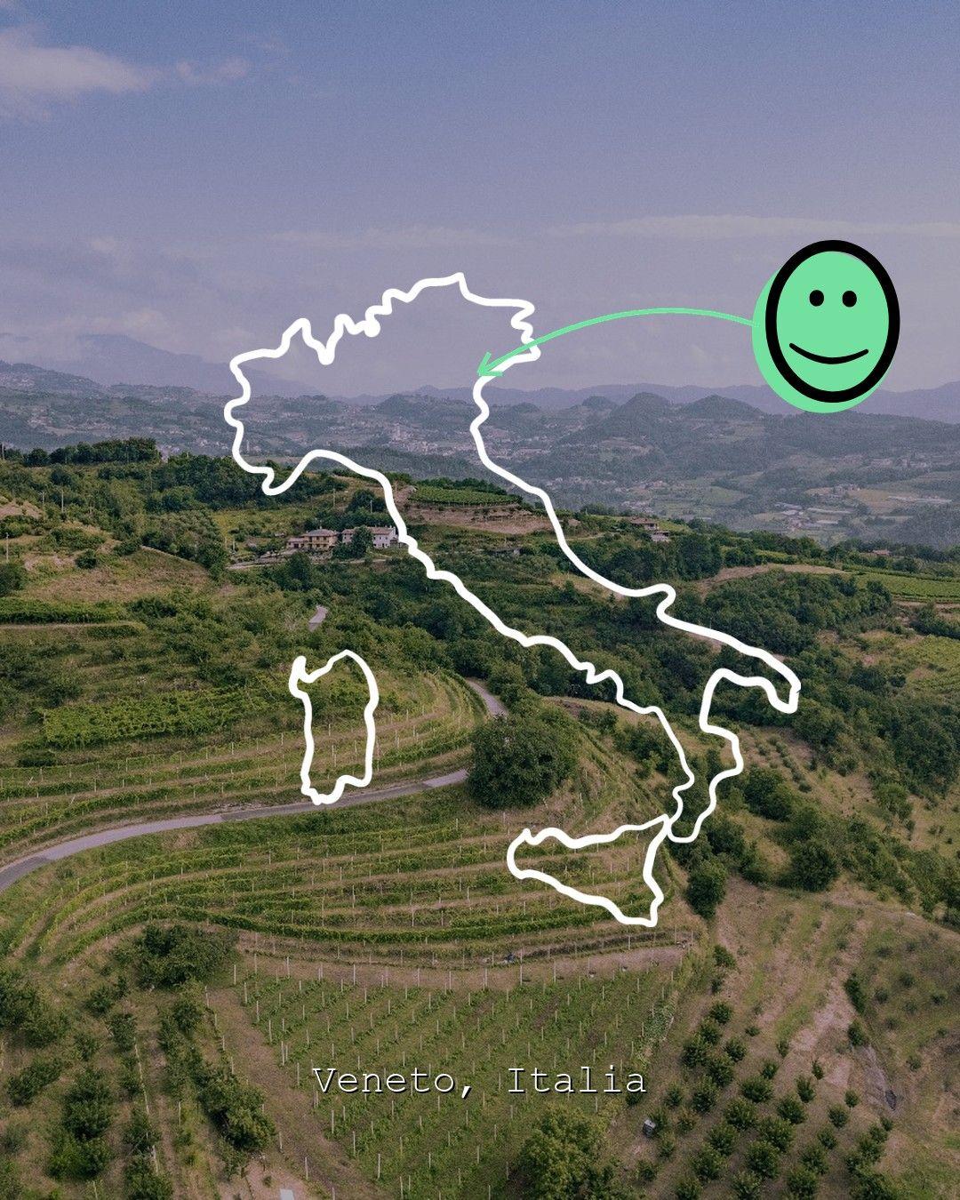Vineyard landscape in Veneto, photo from Cantina Marcazzan Fabio