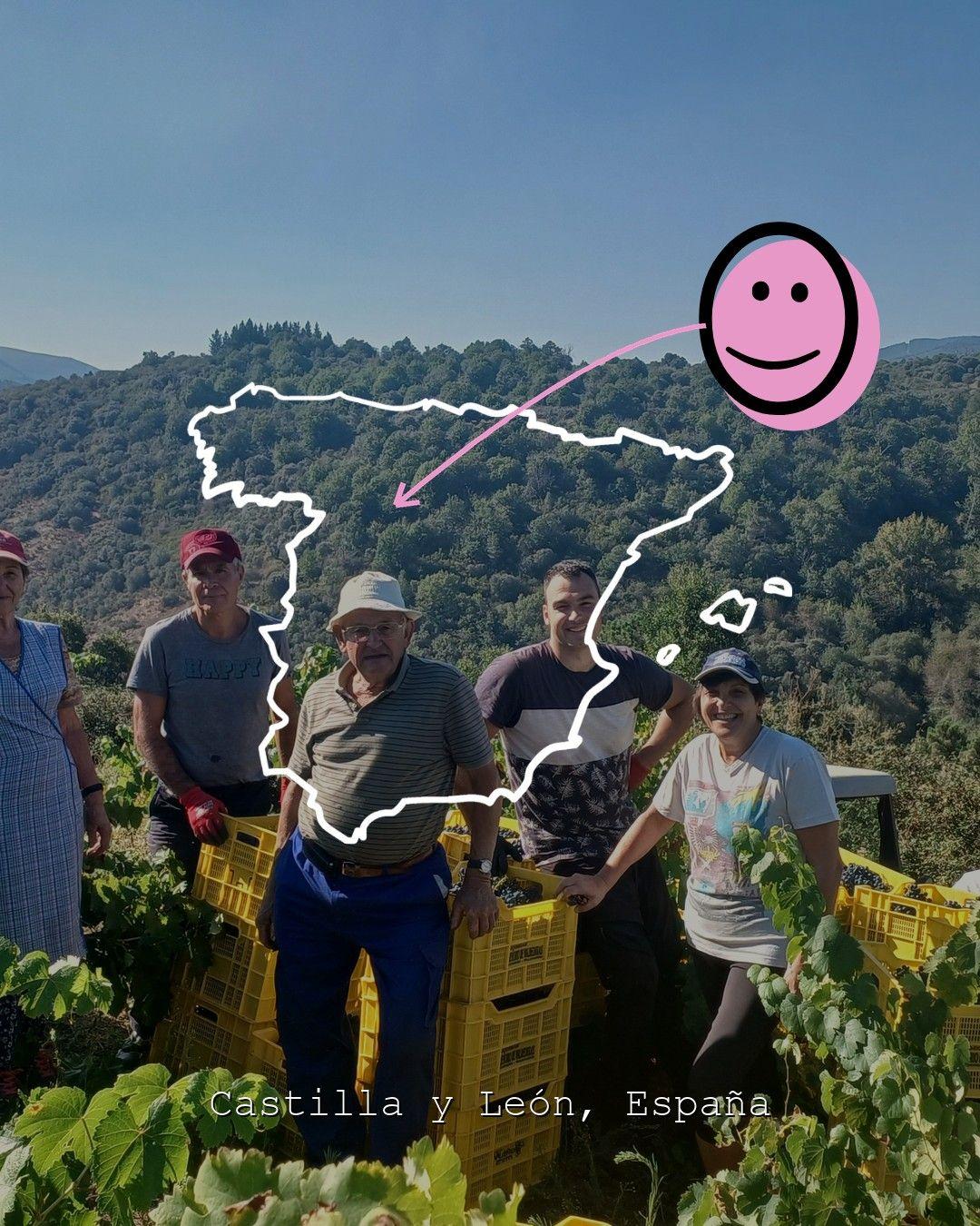 Vingårdslandskap i Castilla y León, foto från Banzao - Valle del Ancares