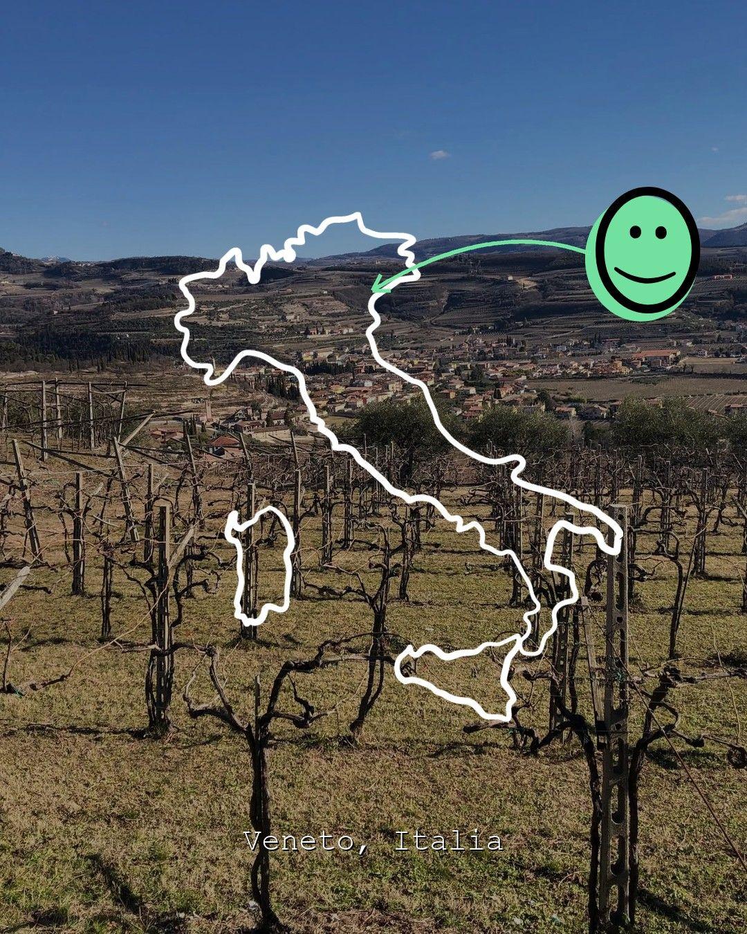 Vineyard landscape in Veneto, photo from Contràmalini