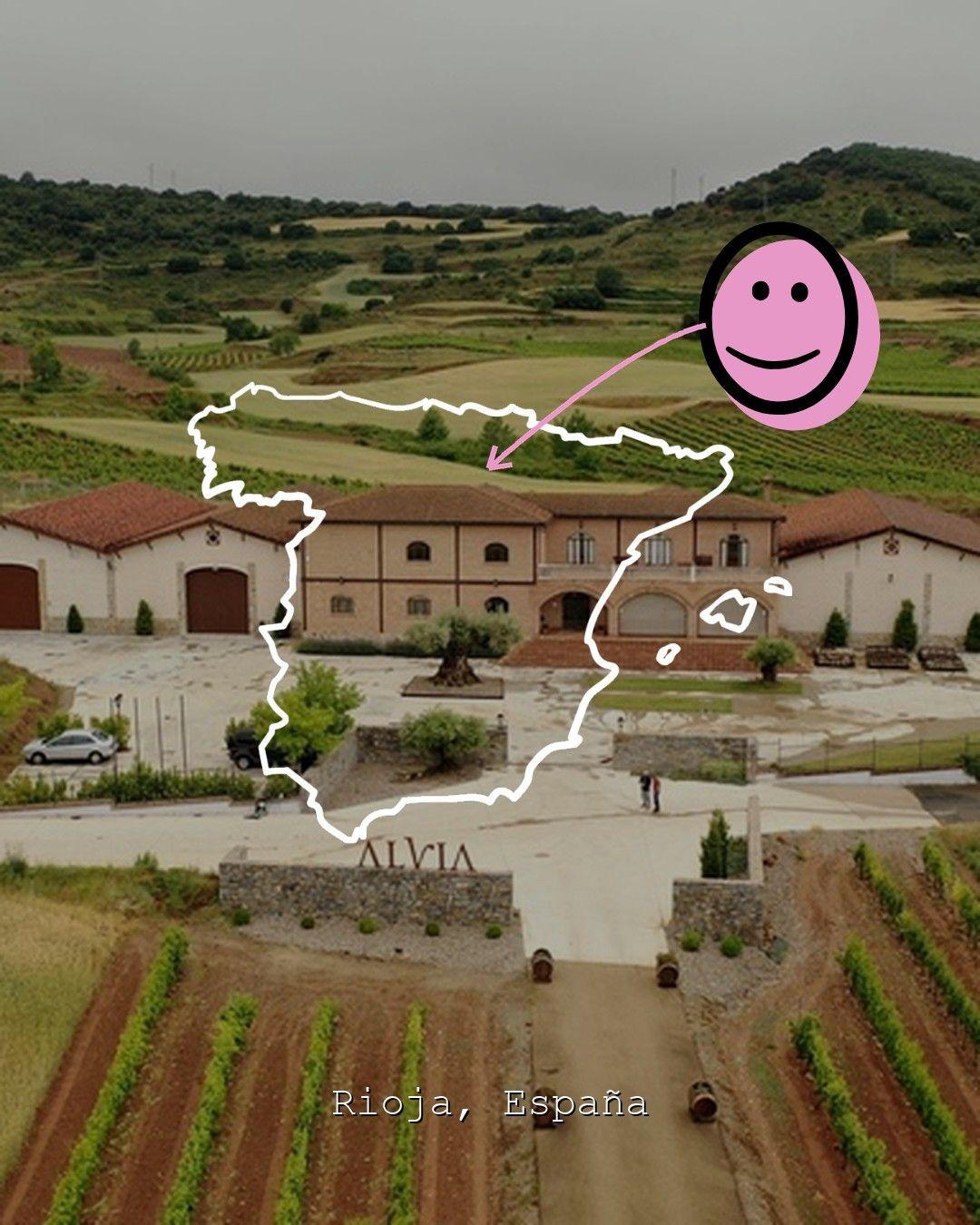 Vingårdslandskap i Rioja, foto från Bodegas Alvia