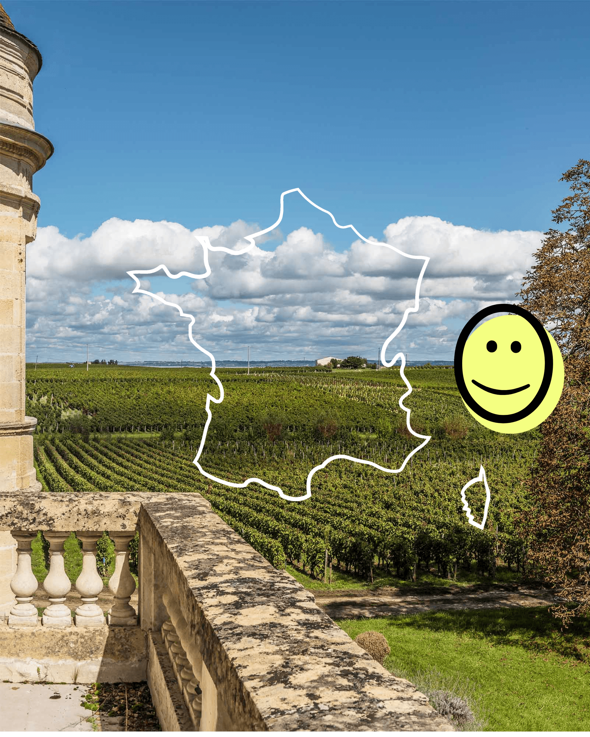 French vineyard rows and a château terrace under a clear summer sky