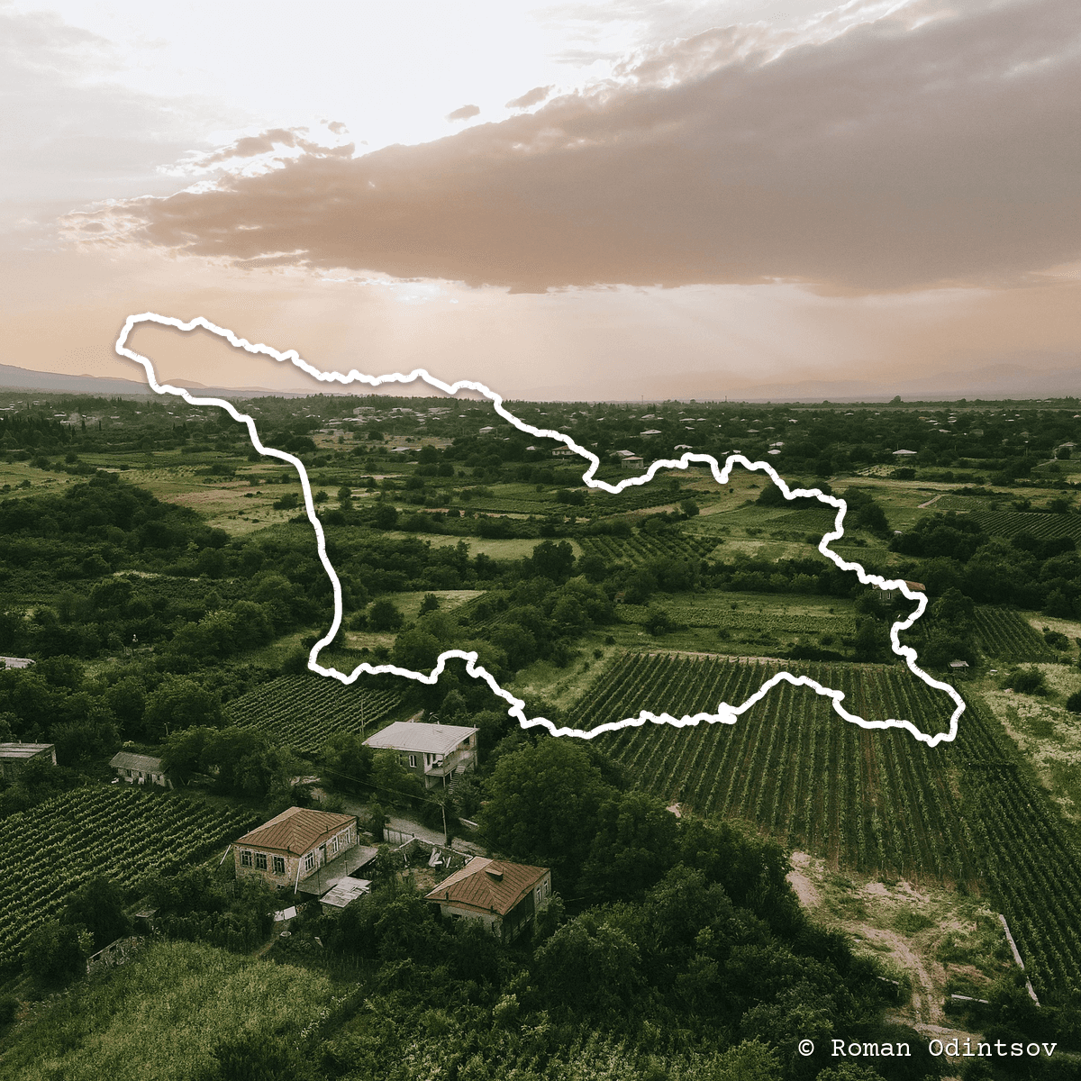 Vineyards and village houses at dusk in Kakheti, Georgia