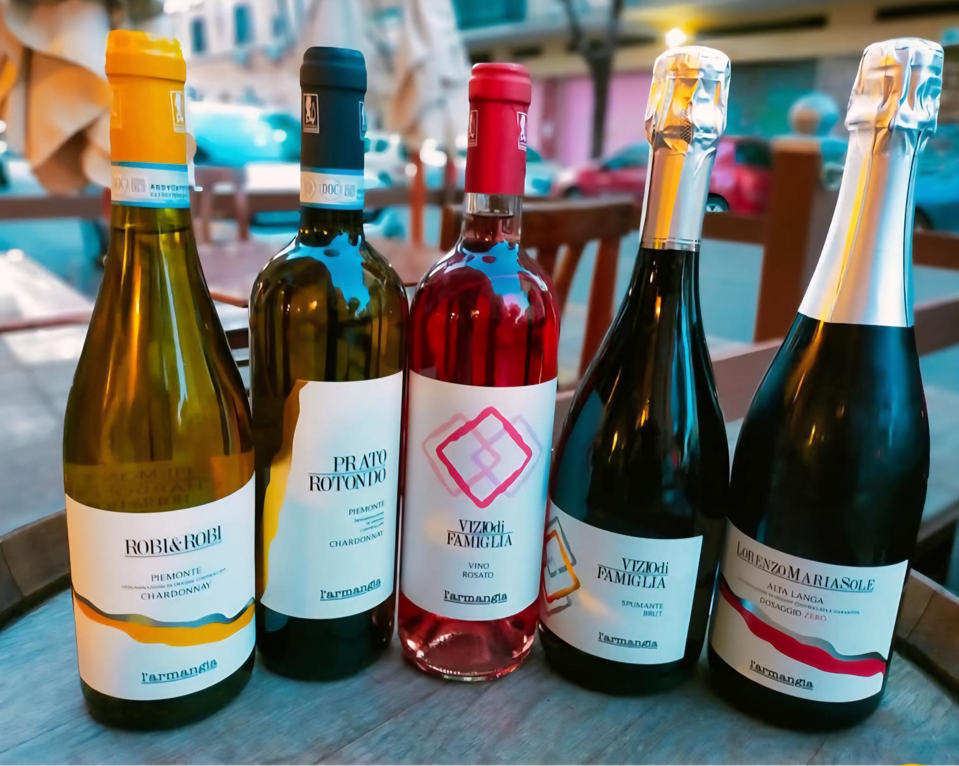 From the vineyards to the Glass. Wine tasting with vineyards Tour