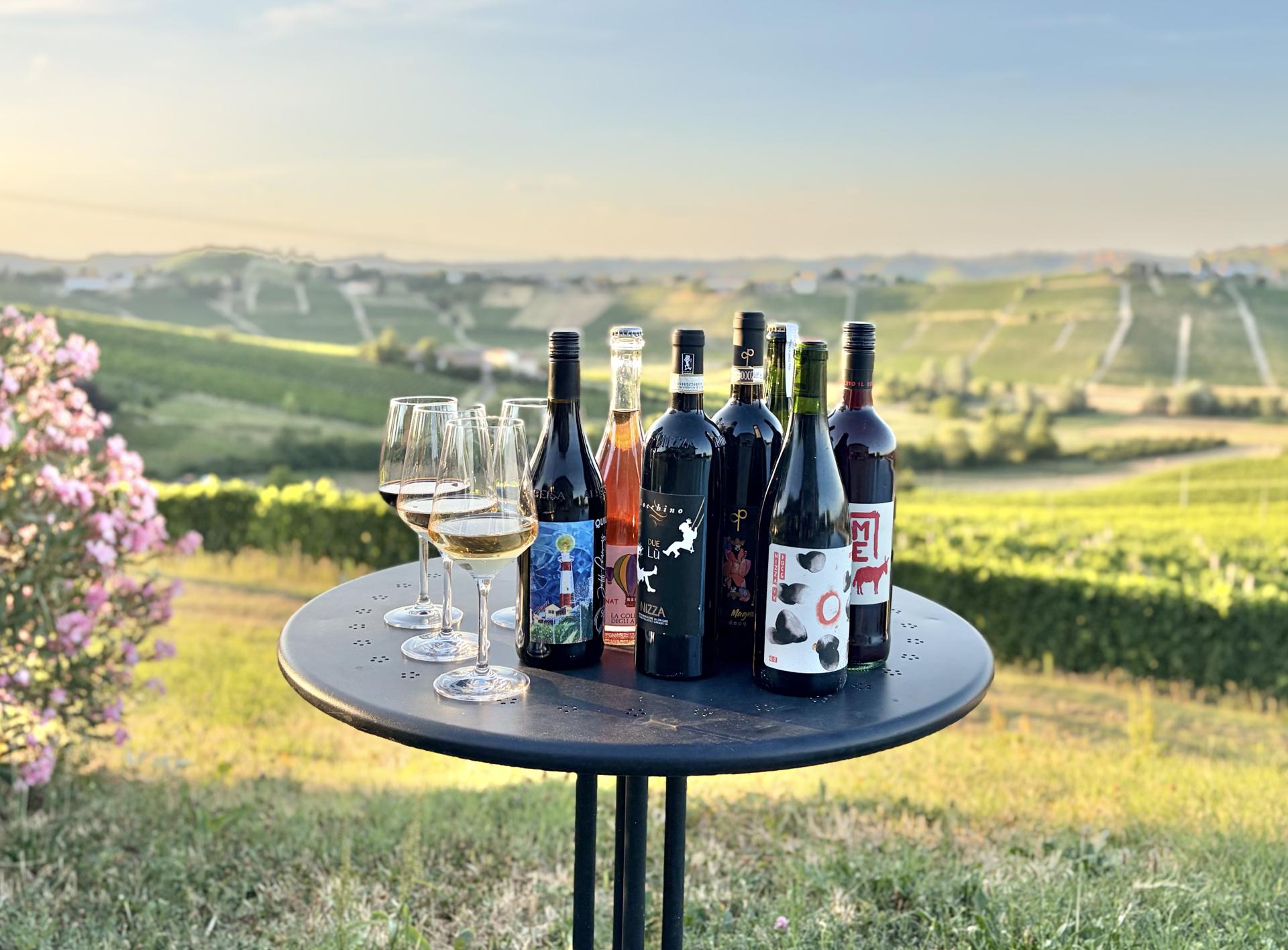 Summer wine tasting