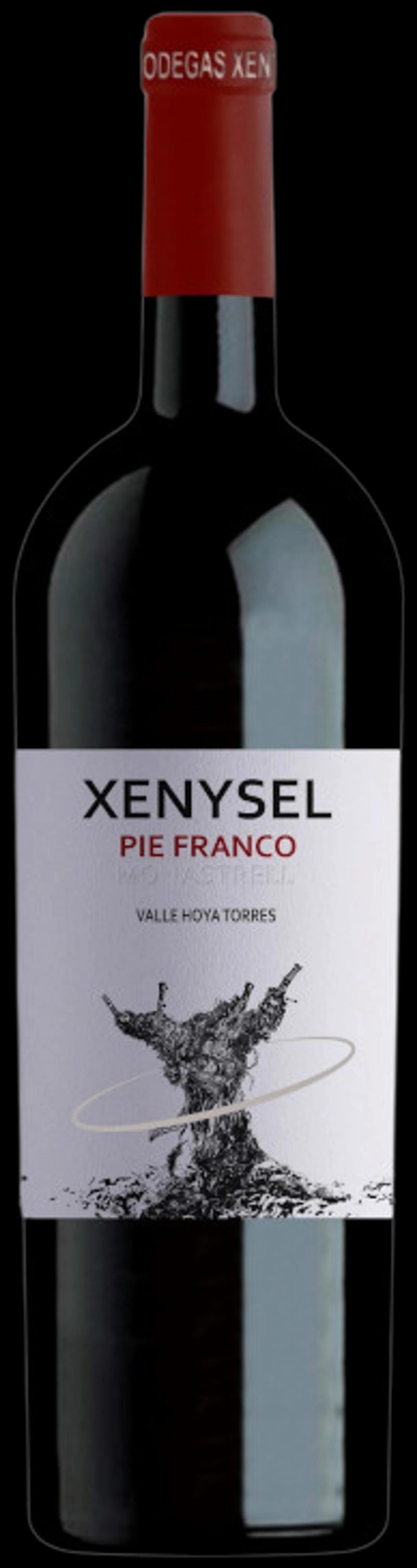 Xenysel Pie Franco