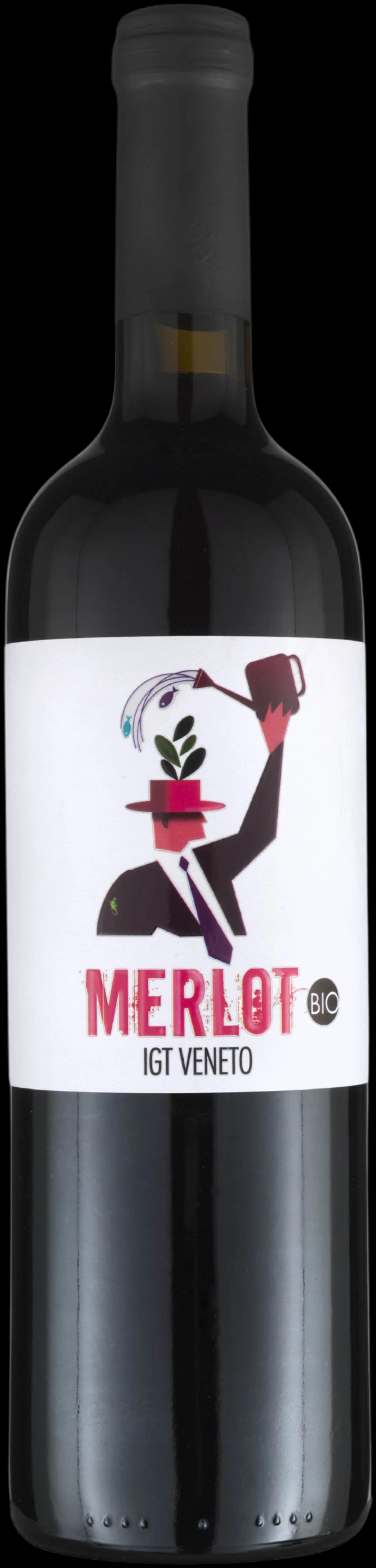 Merlot Igt Veneto Trevisana