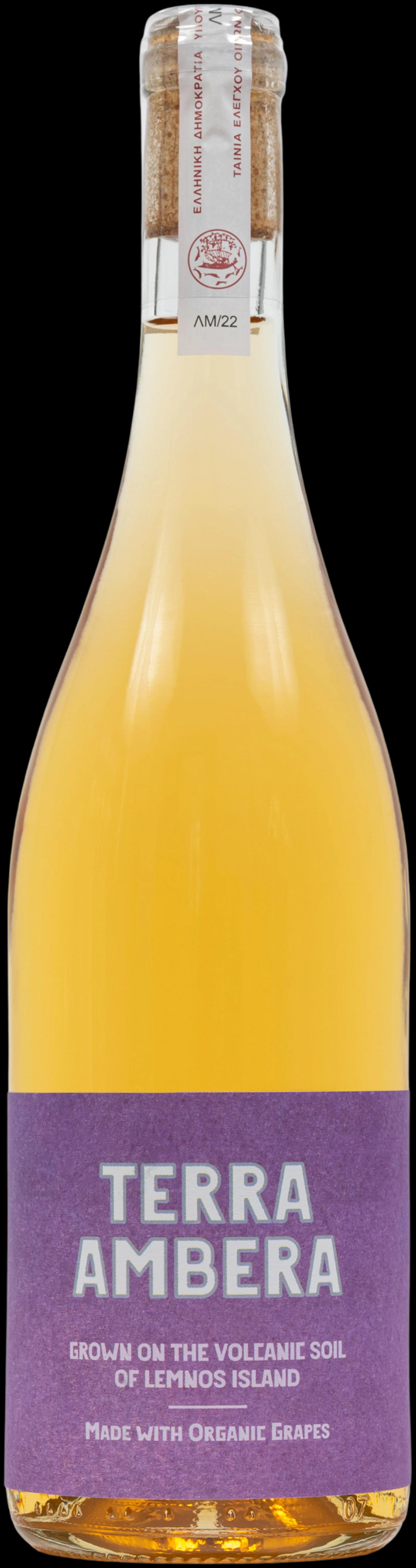 Wine 1