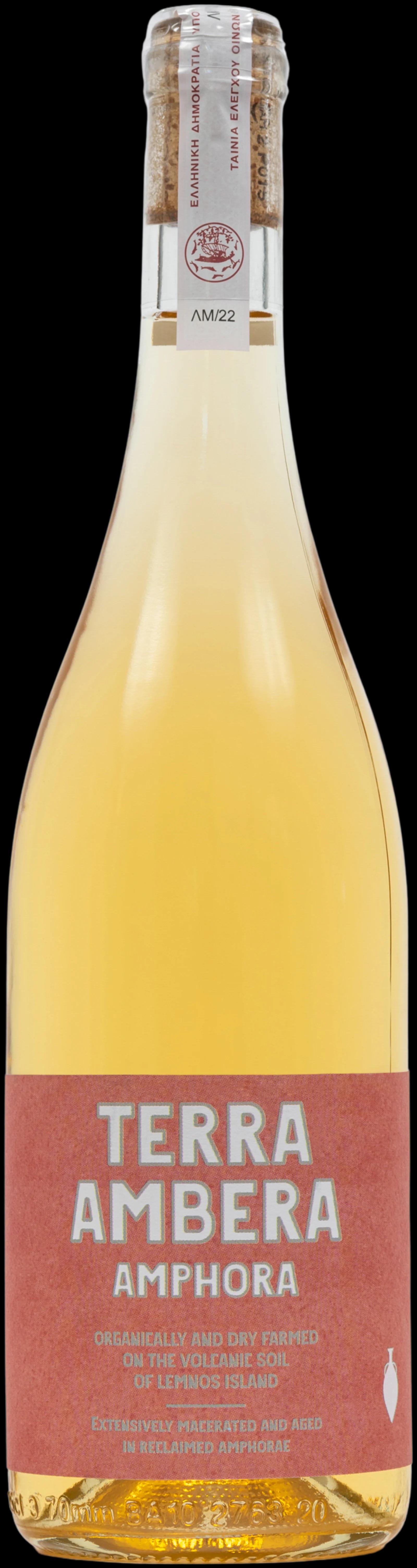 Wine 2