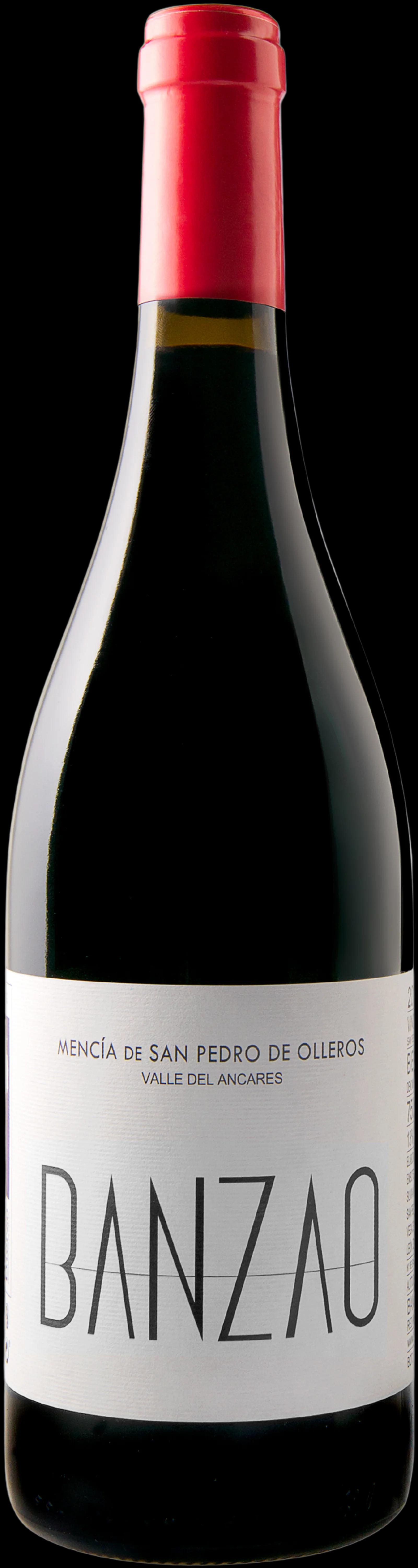 Banzao Mencia Vino de Villa