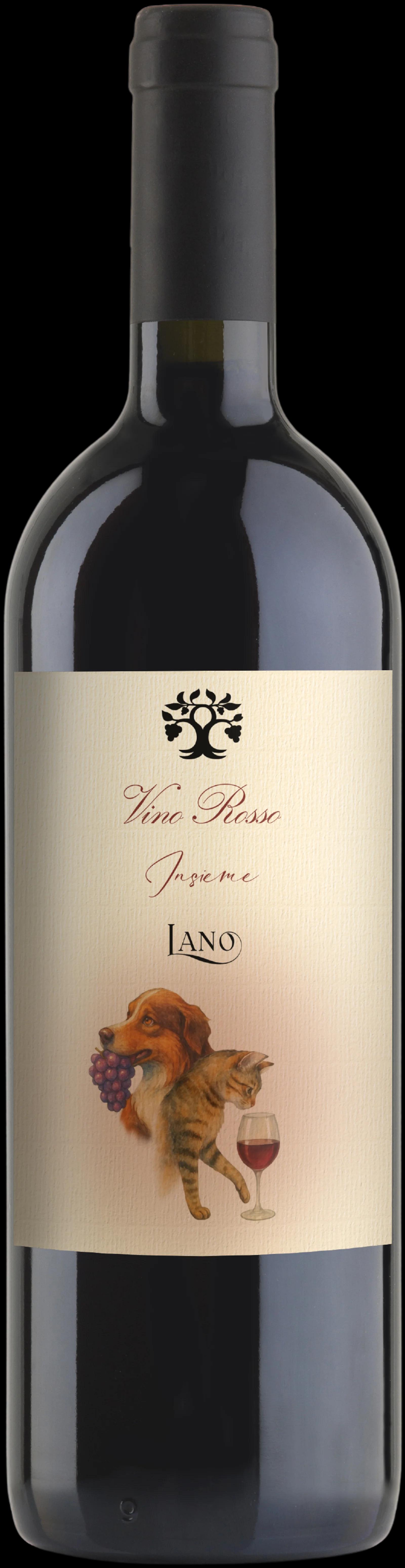 Vino Rosso "Can & Gat"