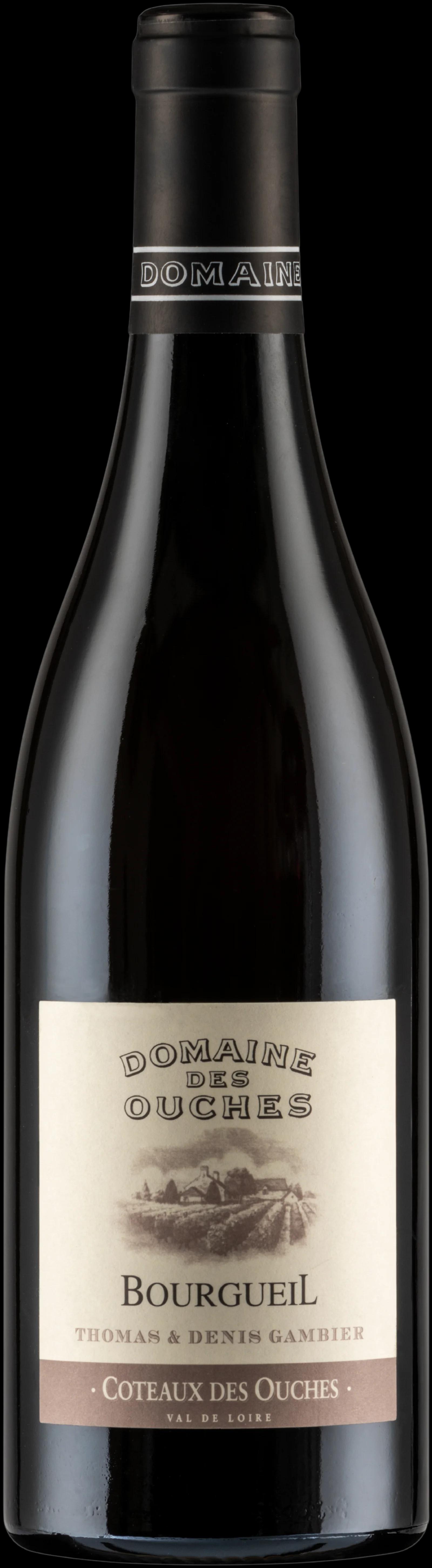 DOMAINE DES OUCHES, Coteau des Ouches 2023, rött vin från Loire
