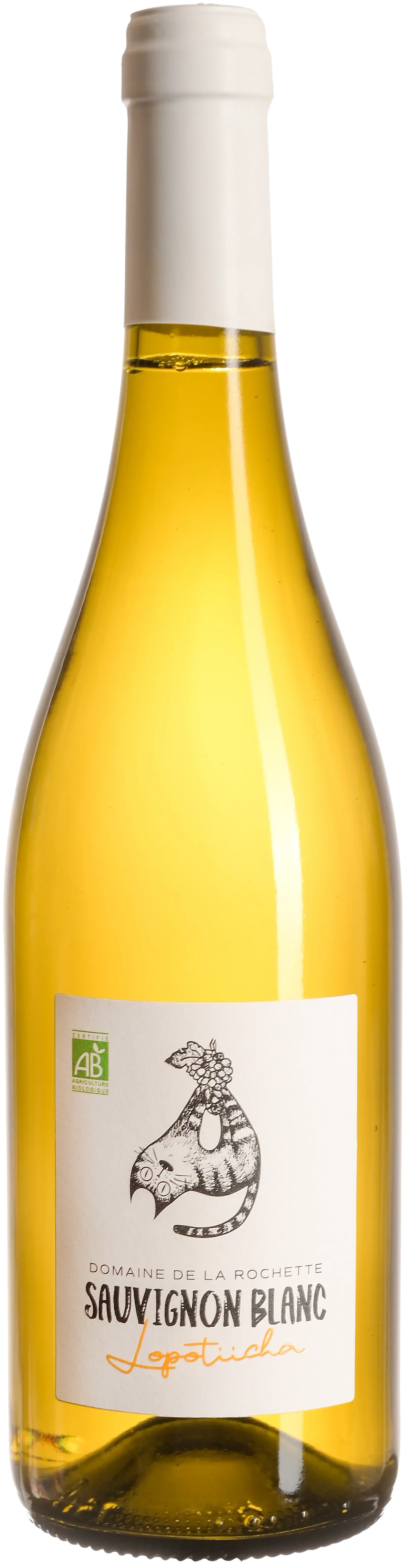 Domaine de la Rochette, Touraine Sauvignon 2025, white wine from Loire