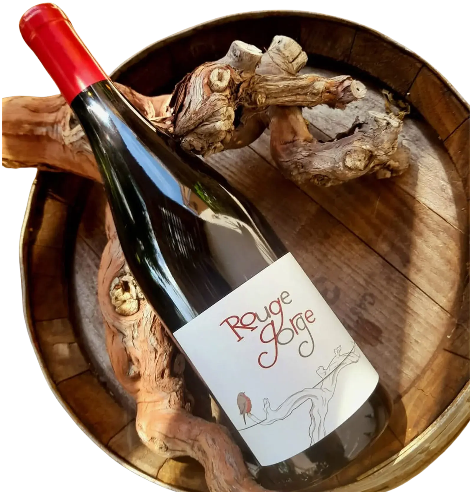 Alchimie de nos garrigues, Rouge gorge 2024, red wine from Languedoc-Roussillon
