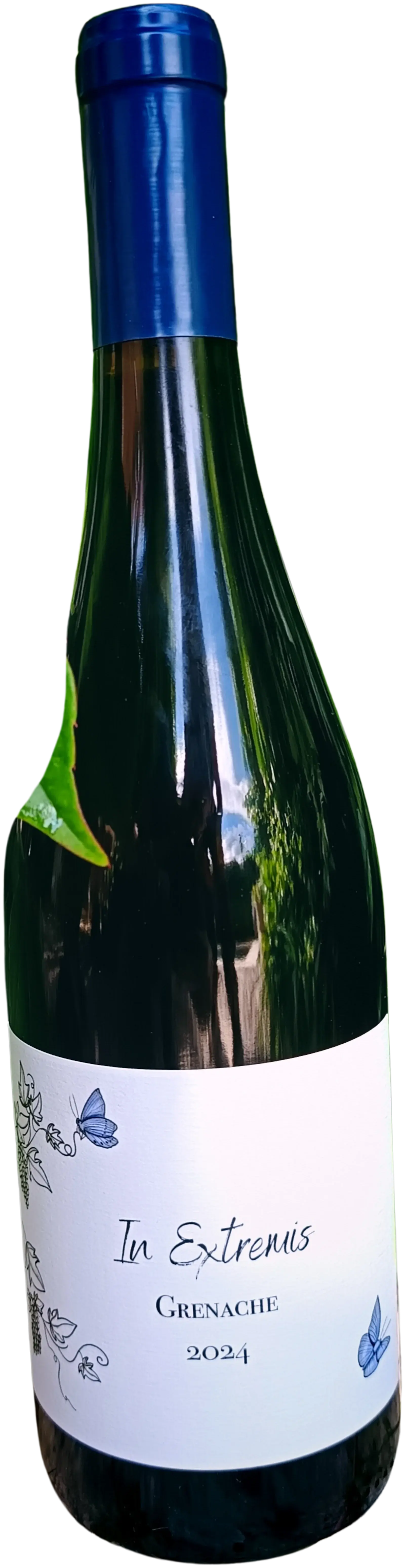 Alchimie de nos garrigues, In Extrémis 2024, red wine from Languedoc-Roussillon