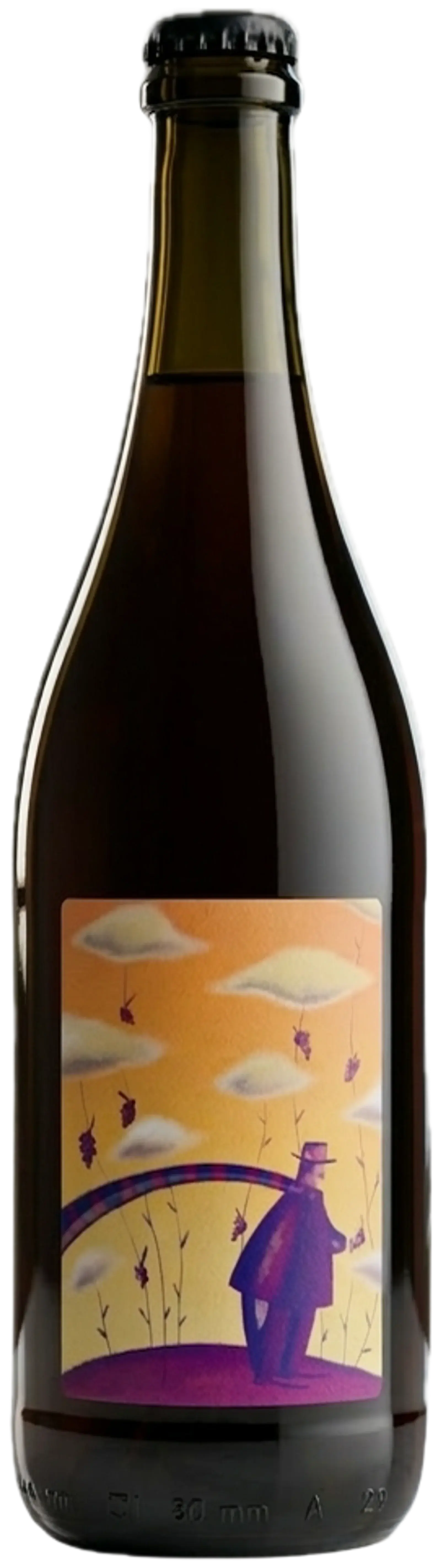 Viv, L'Onirico Vignaiolo 2023, red wine from Piemonte