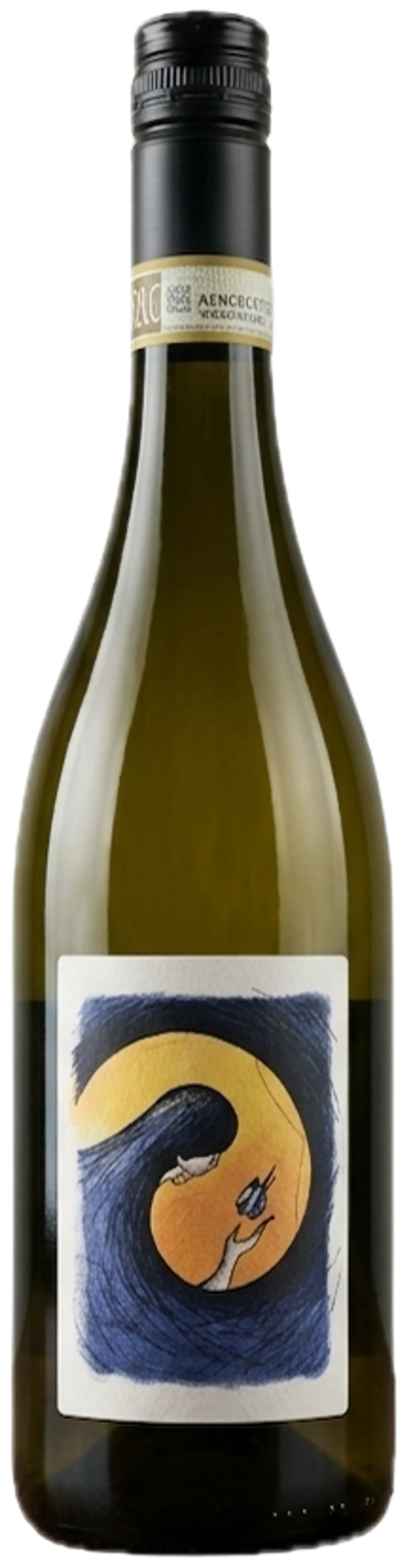 Viv, Moscato di Canelli DOCG Anima della Terra 2025, vitt vin från Piemonte