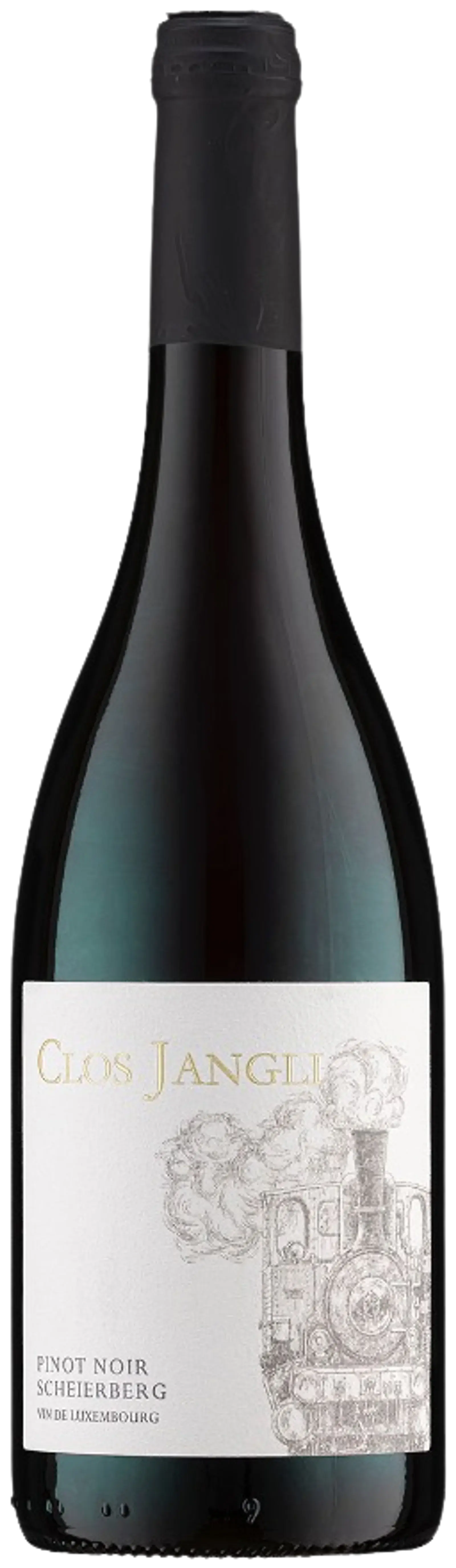 Domaine Clos Jangli, Pinot Noir Scheierberg 2024, red wine from Moselle