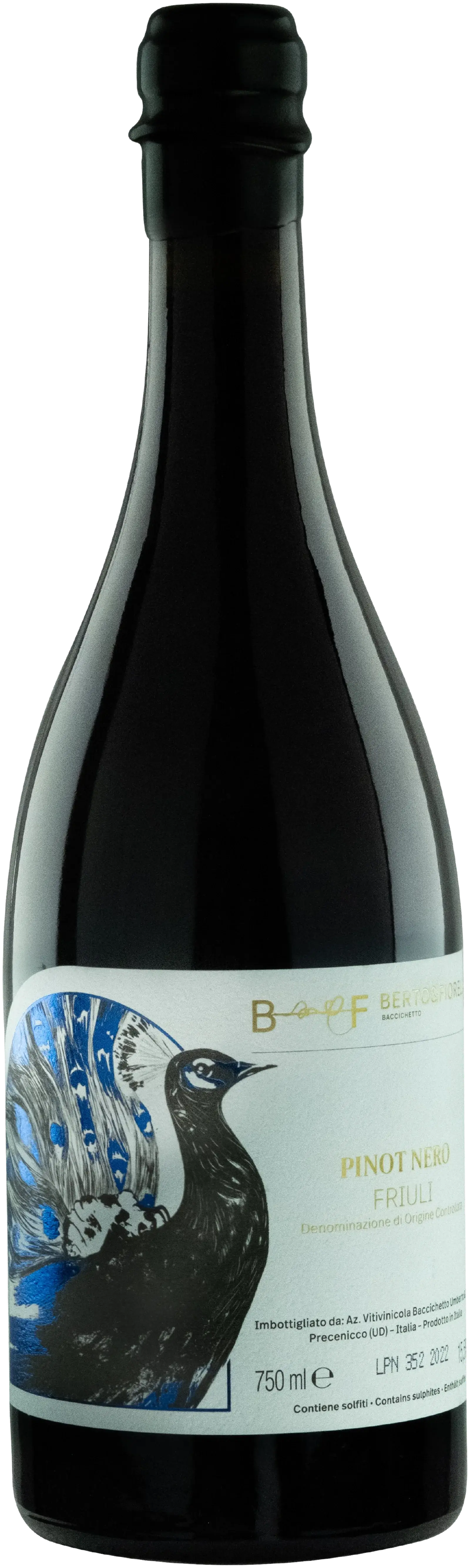 Berto & Fiorella, Pinot Nero 2022, red wine from Friuli-Venezia Giulia