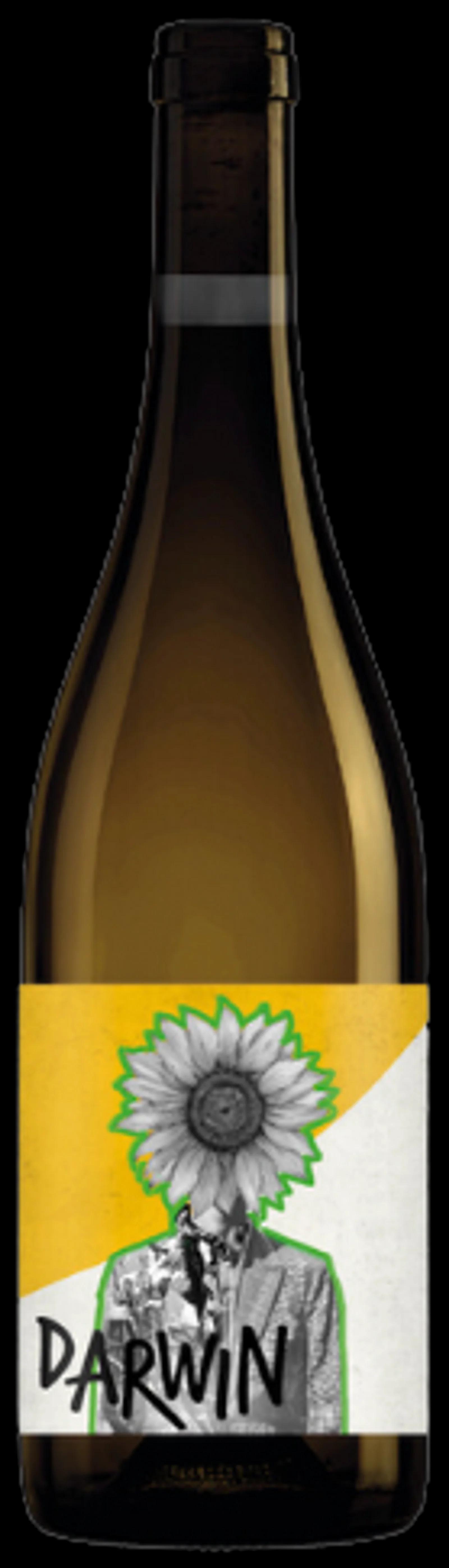 DARWIN - Cabernet Blanc