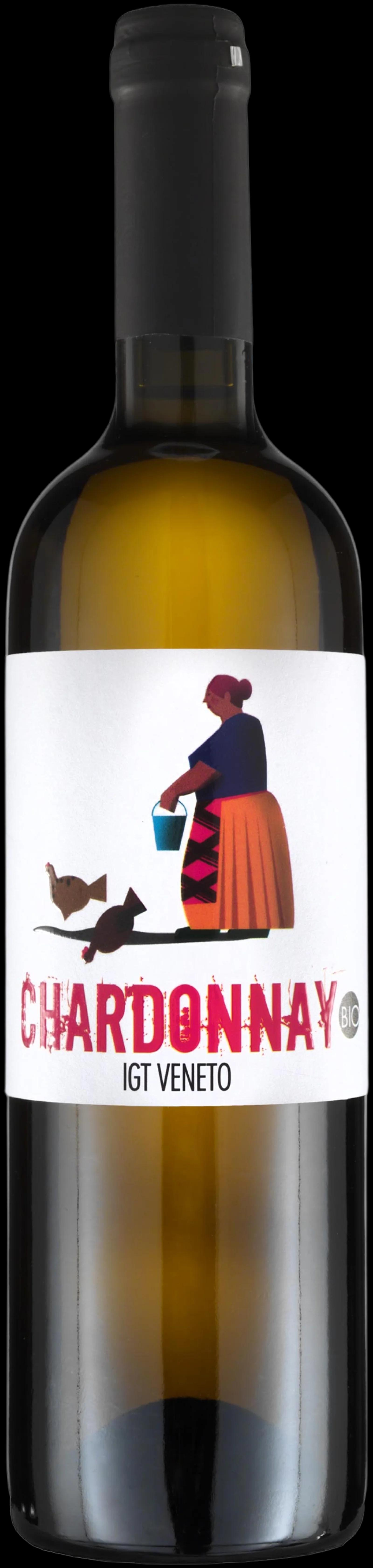 Chardonnay Igt Veneto Trevisana