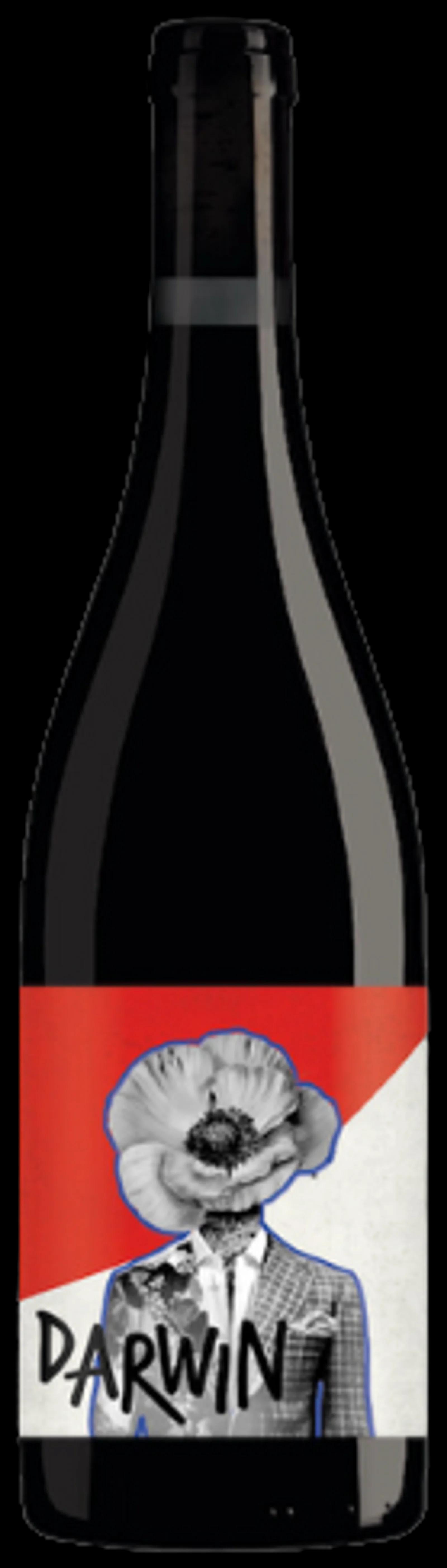 DARWIN - Cabernet Jura