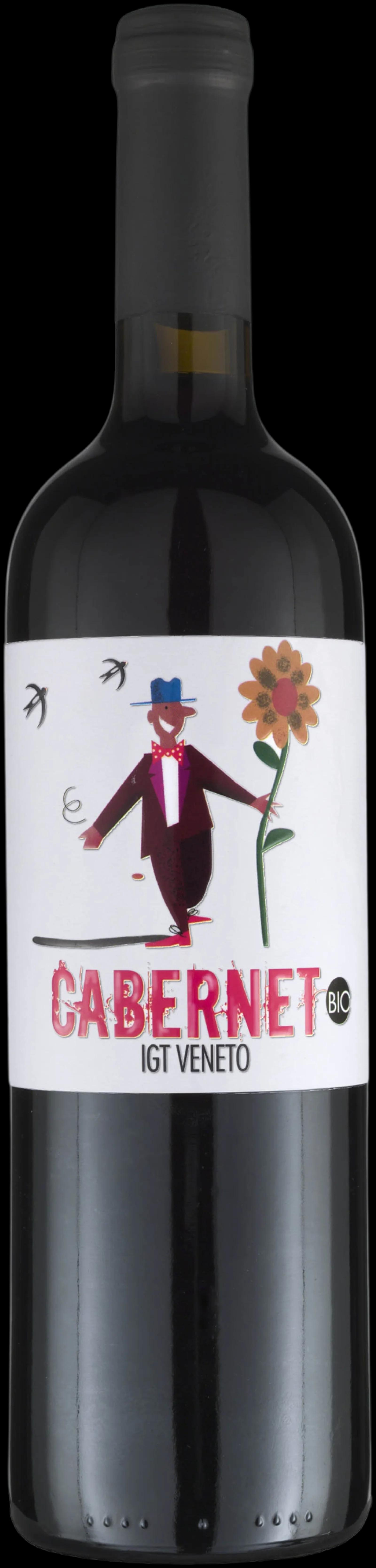 Cabernet Igt Veneto Trevisana