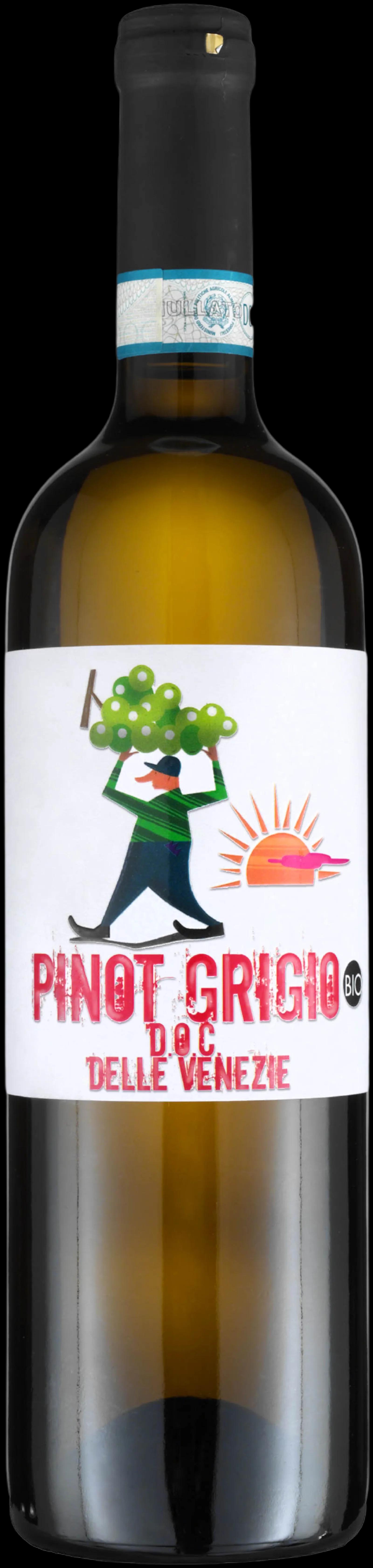 Pinot Grigio Doc Delle Venezie Trevisana