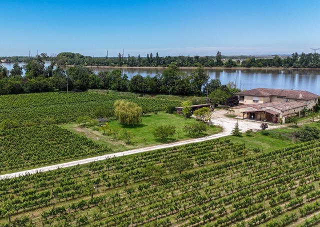 winery