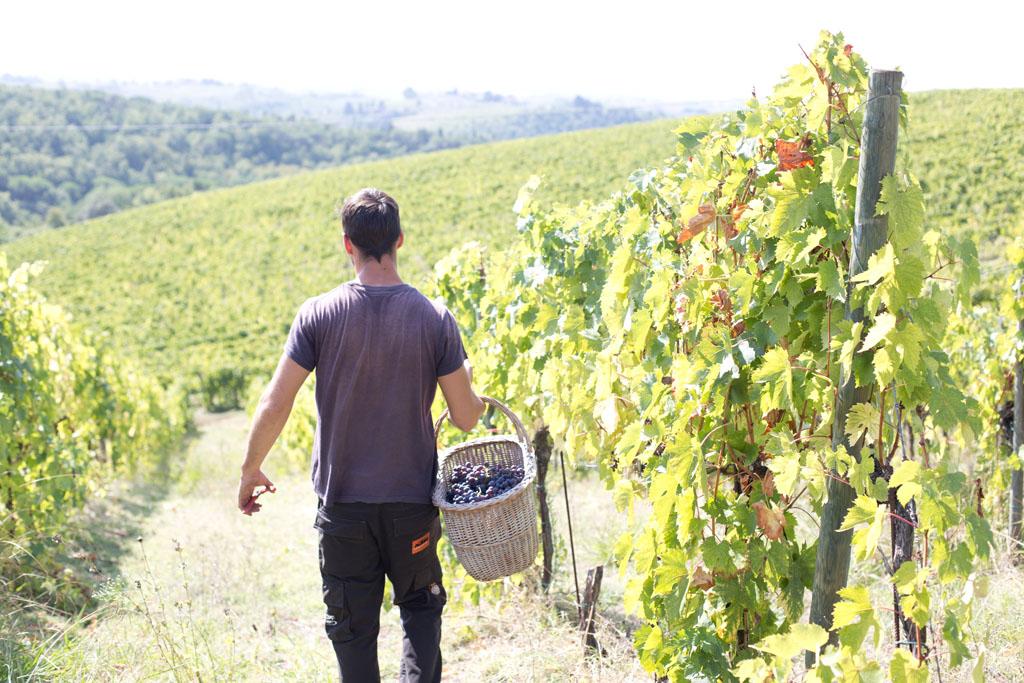 winery