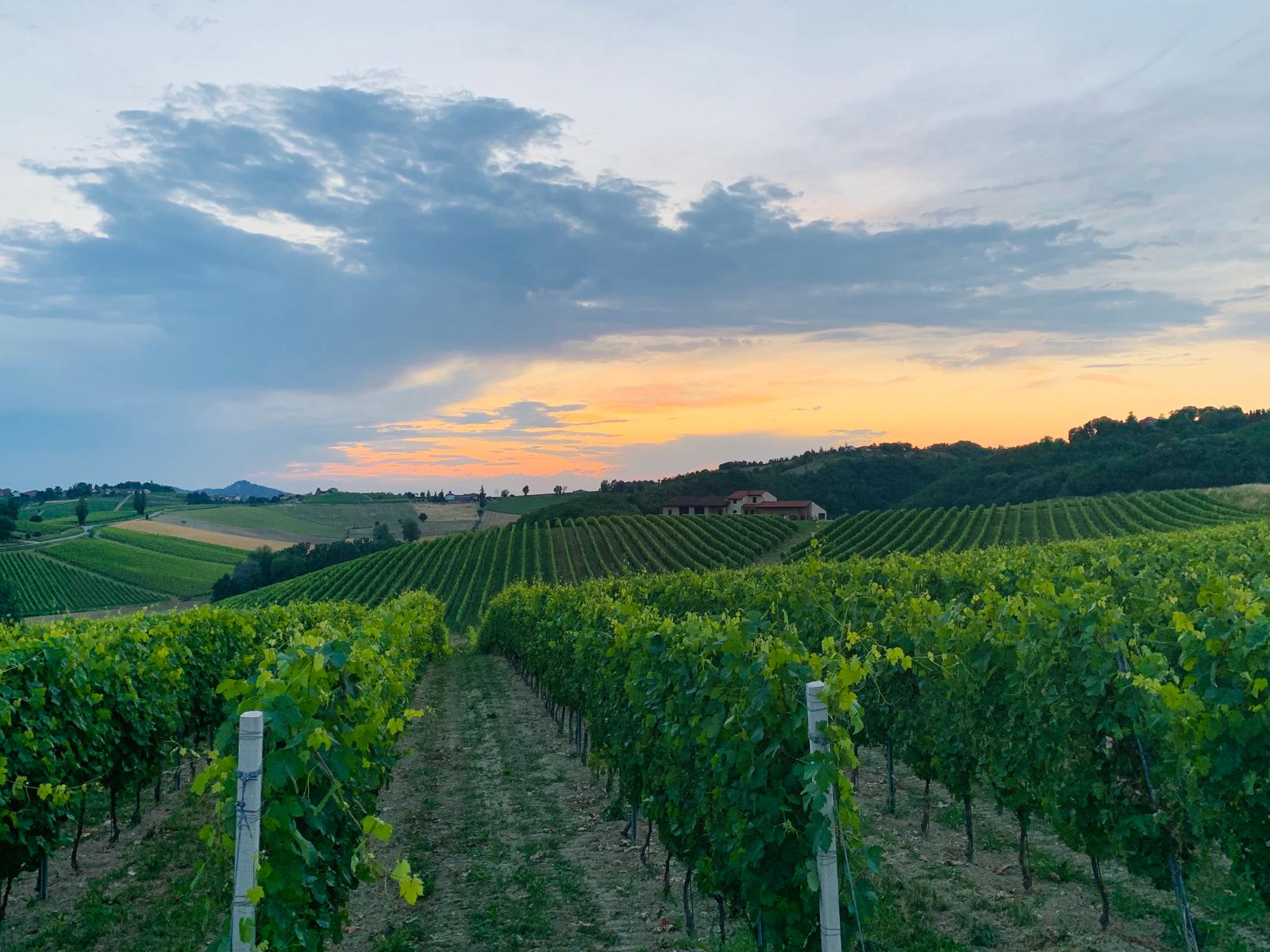 winery