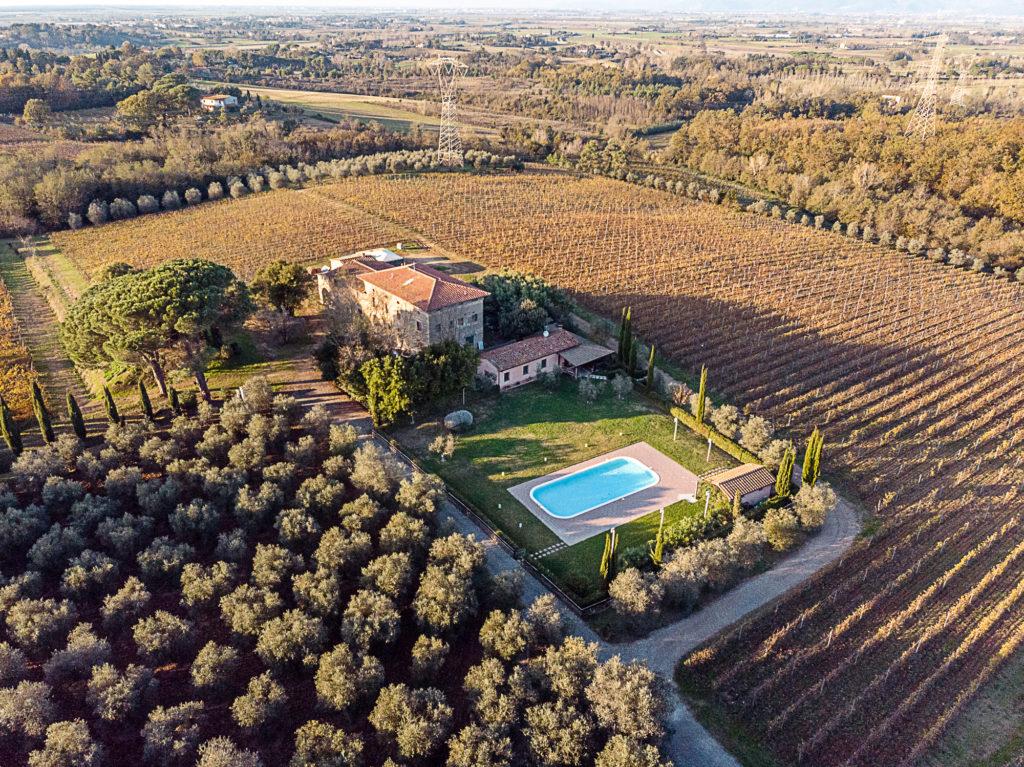 winery