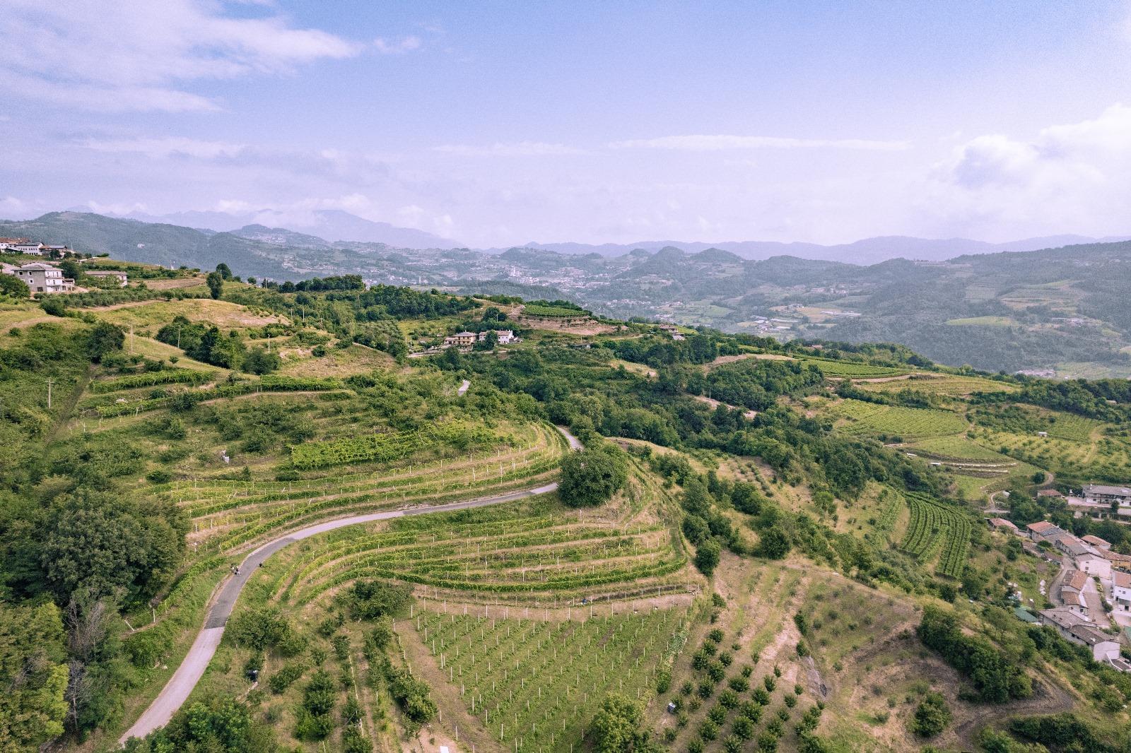 winery