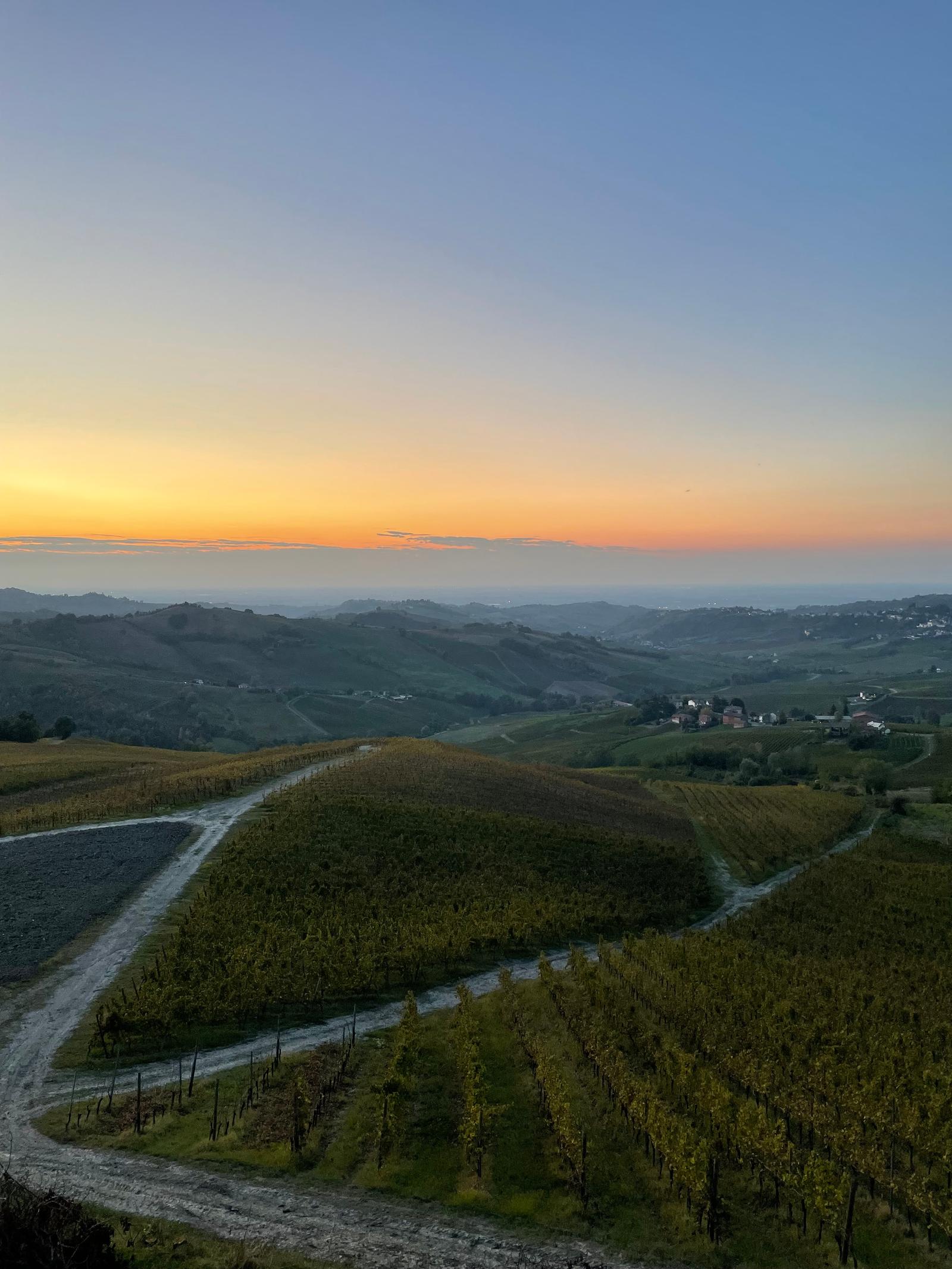 winery