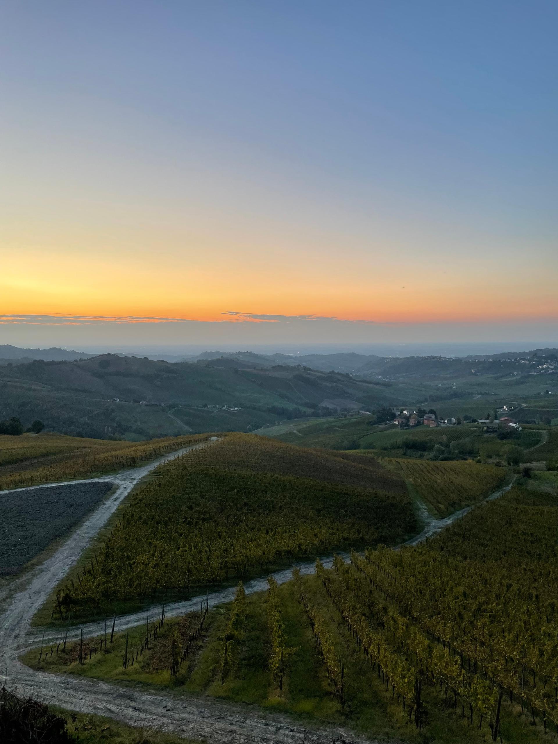 Marchesi di Montalto